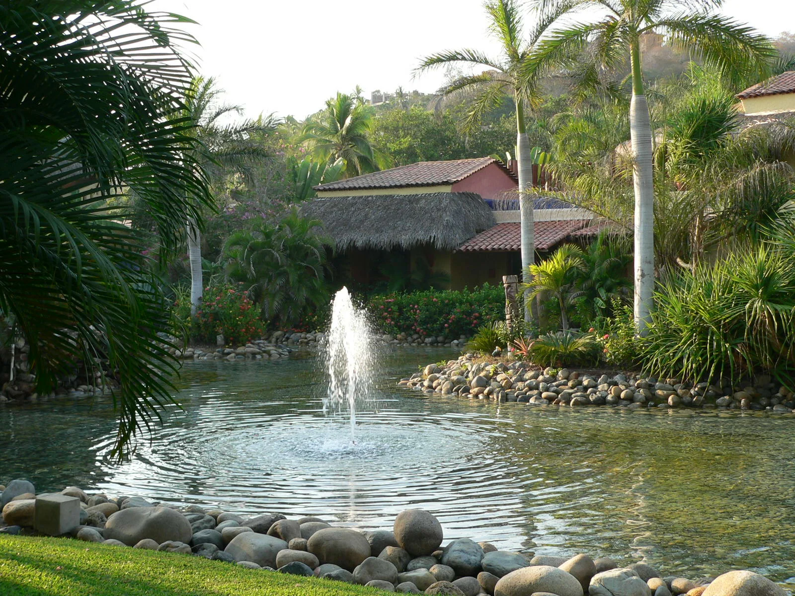 P1000474.JPG