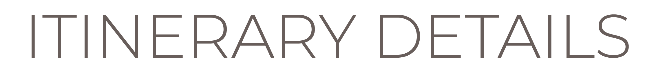 flyandbuybranding_texofinal-10.png