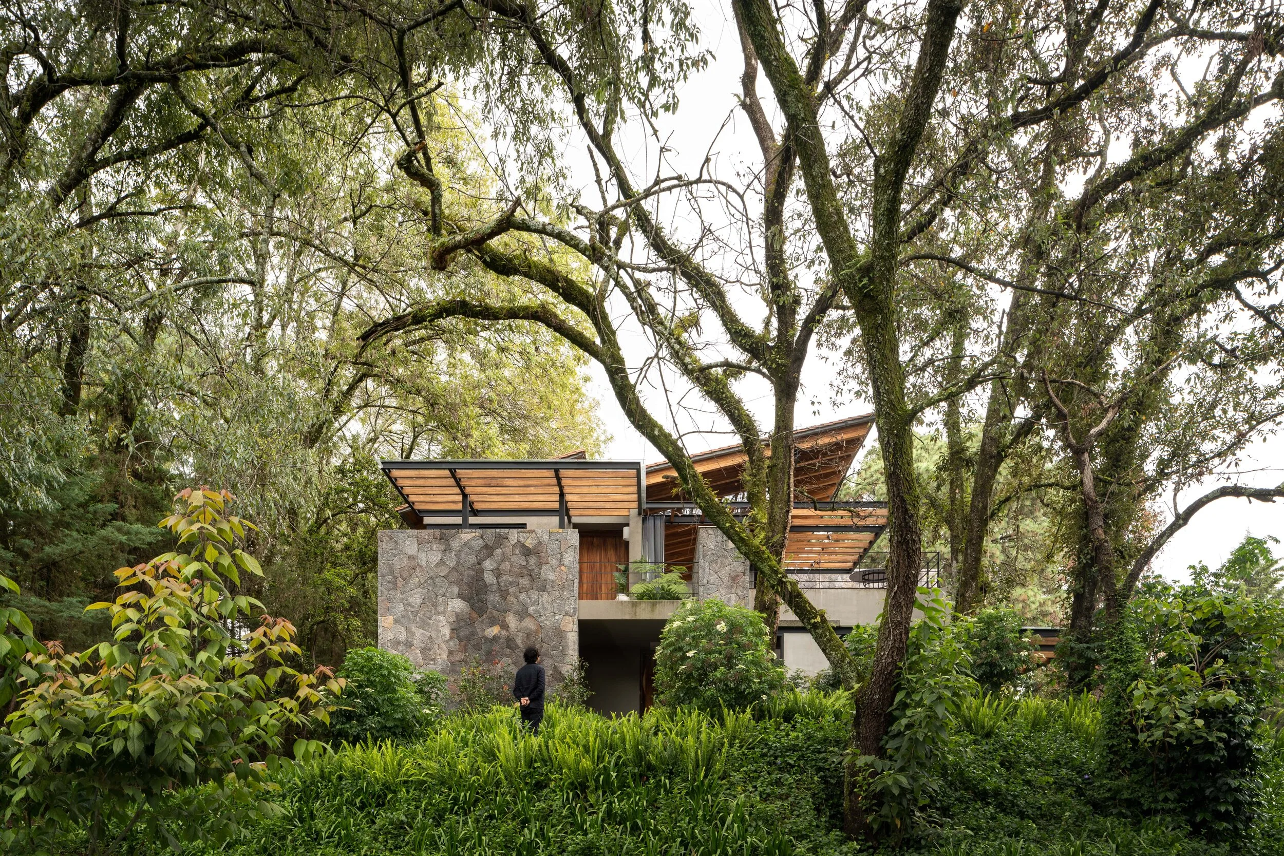 ZAR_AVANDARO 333_20-min.JPG