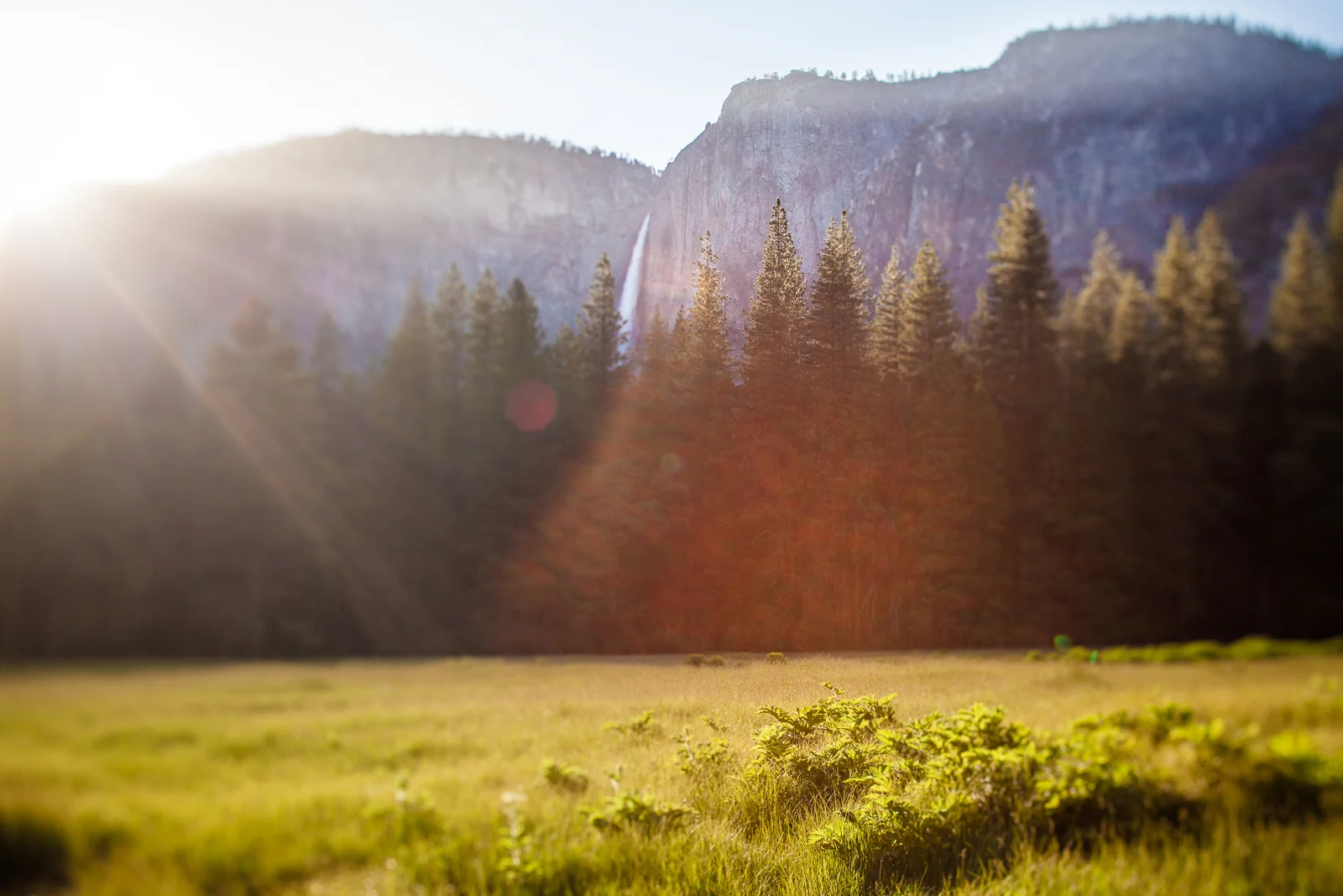 NEW_SITE_2015_YOSEMITE-8104.JPG