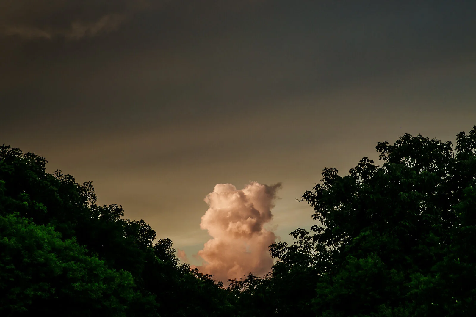 RIVIERA_MAYA_July 17, 2016_IMG_7524.JPG