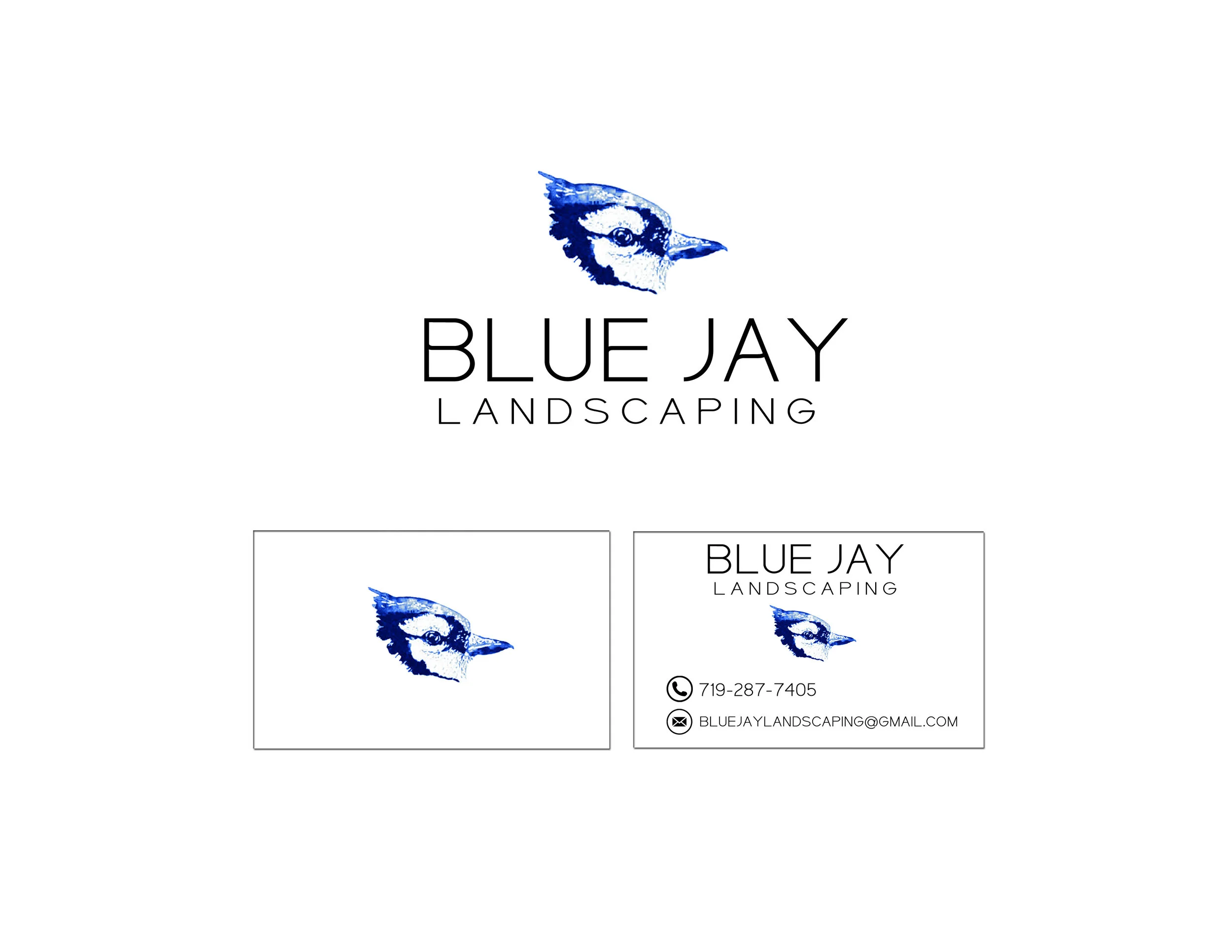 BlueJay.jpg
