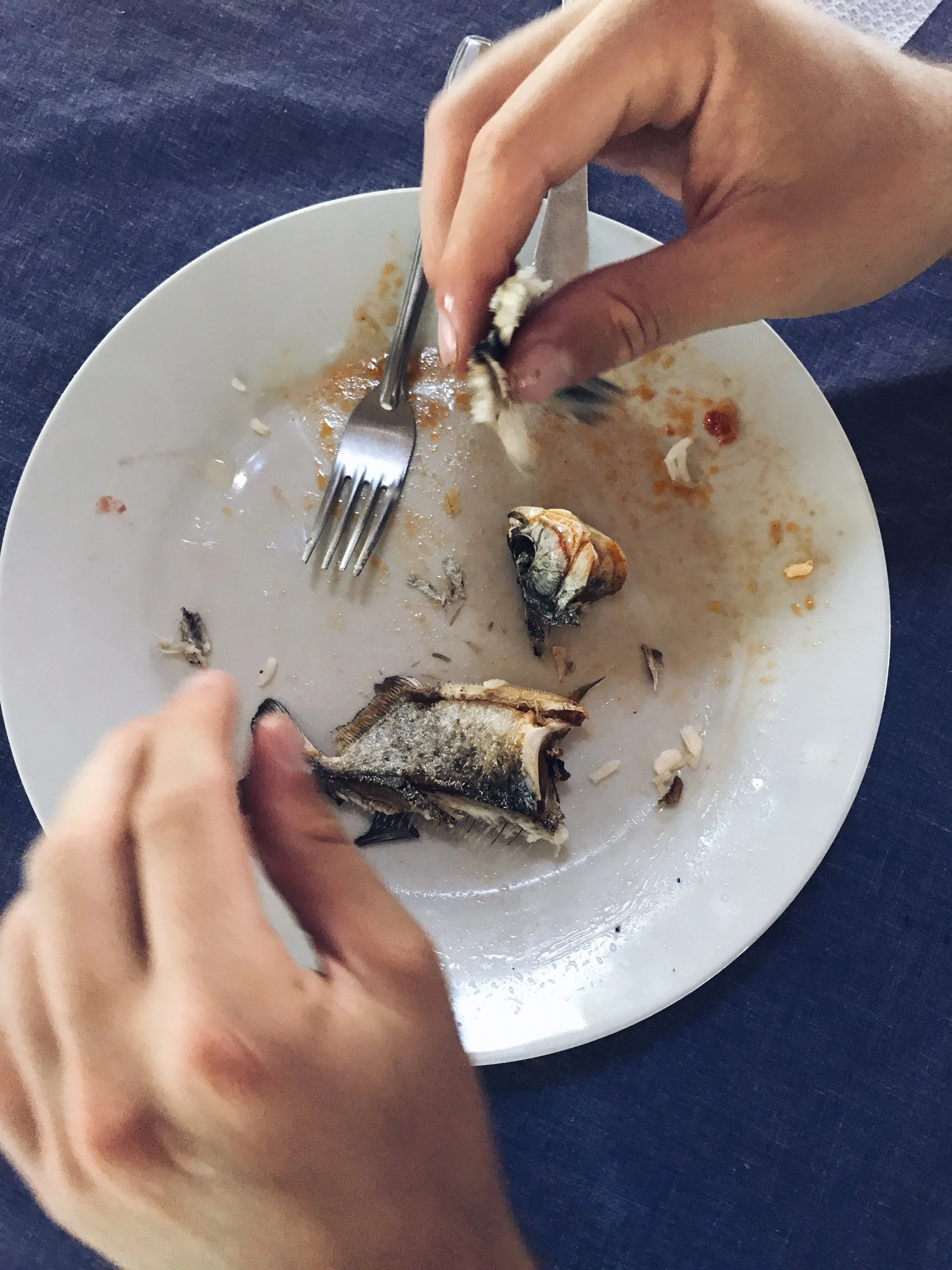 Doing More With Less in the Jungle