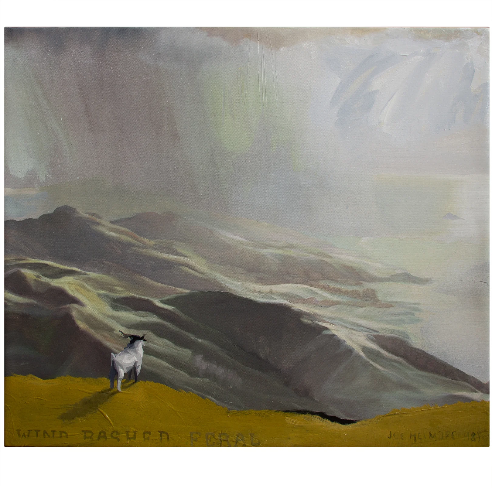 Wind Bashed Feral