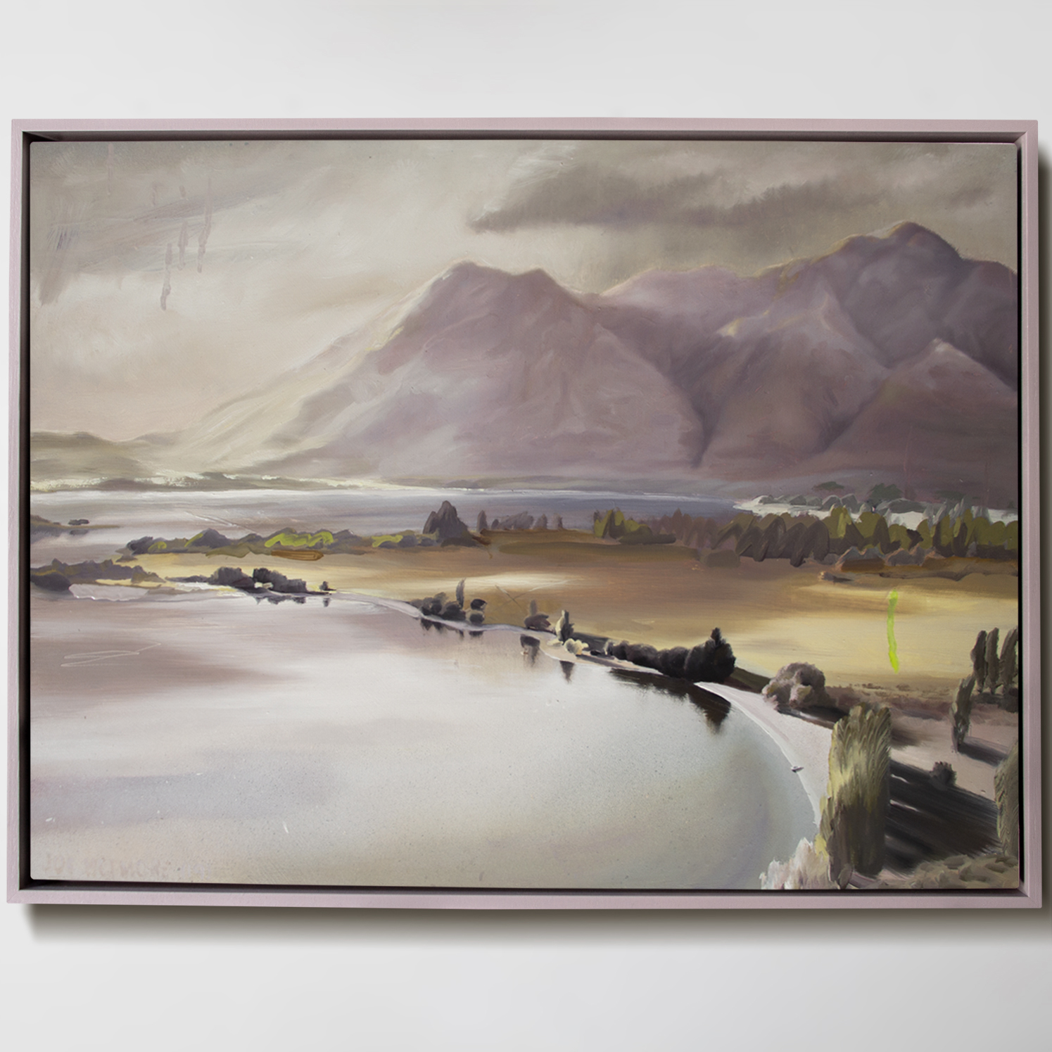 Oil and aerosol spray on board. 64cm by 49cm (frames size) No title yet. This is Glendhu Bay in Lake Wanaka. Sold