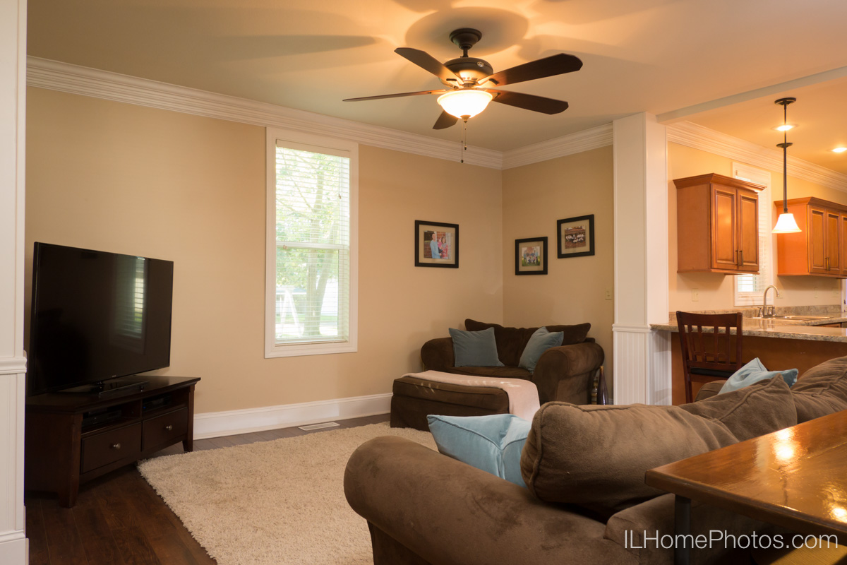 Interior home living room photograph for real estate in Delavan, IL :: Illinois Home Photography by Michael Gowin, Lincoln, IL