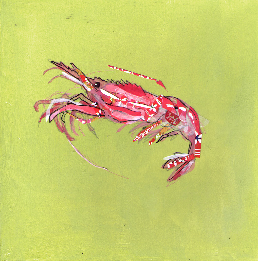 Ebi