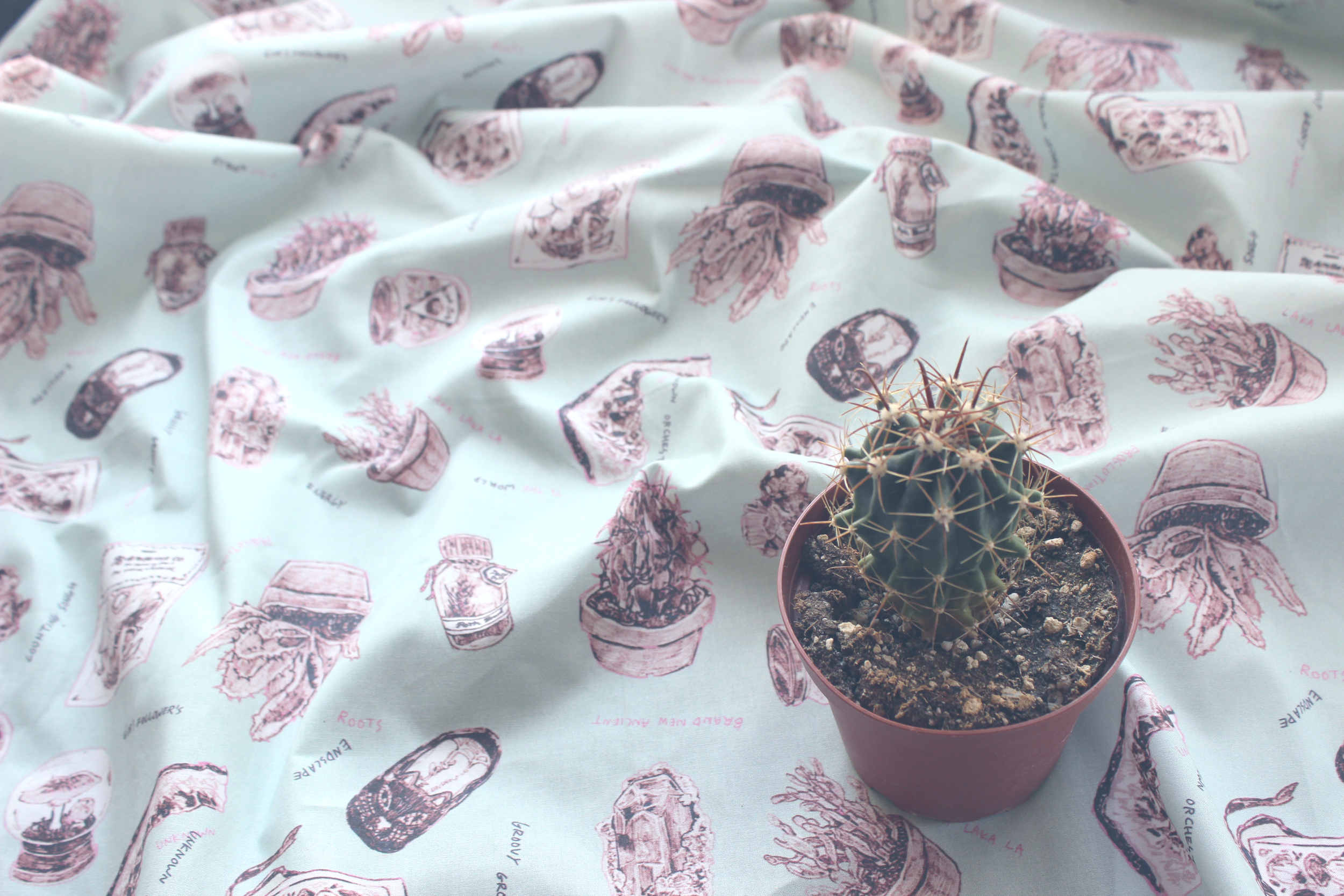 CACTUS.png