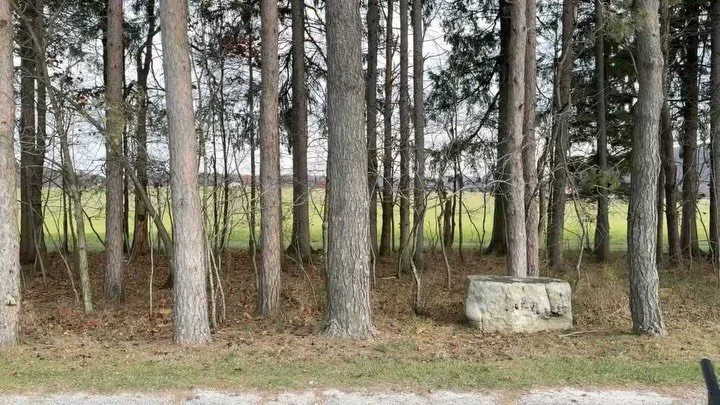 3 Auditions.
Same Series.
1 Booking.
Which one landed the job?