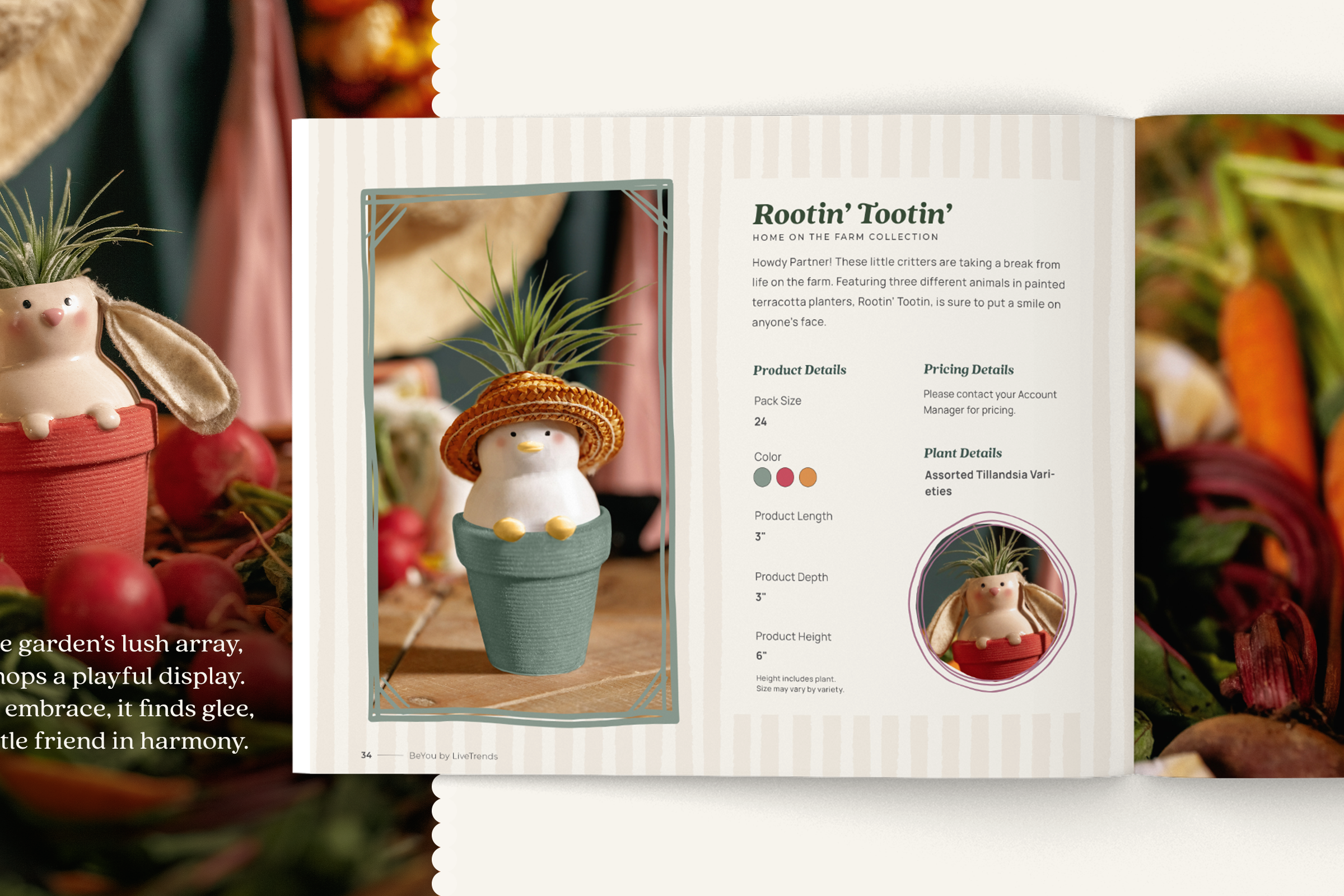 HomeOnFarm_Carousel_4.png