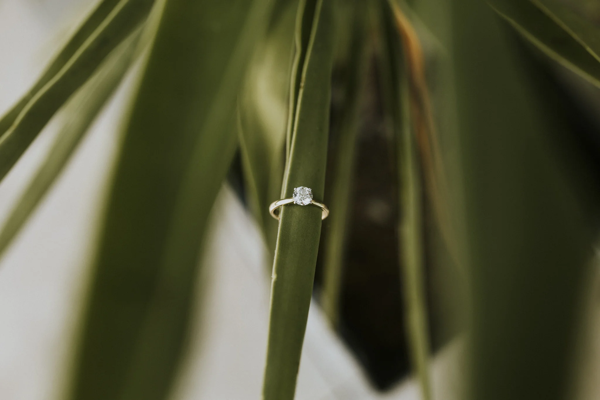 Ben+Iona-25.jpg