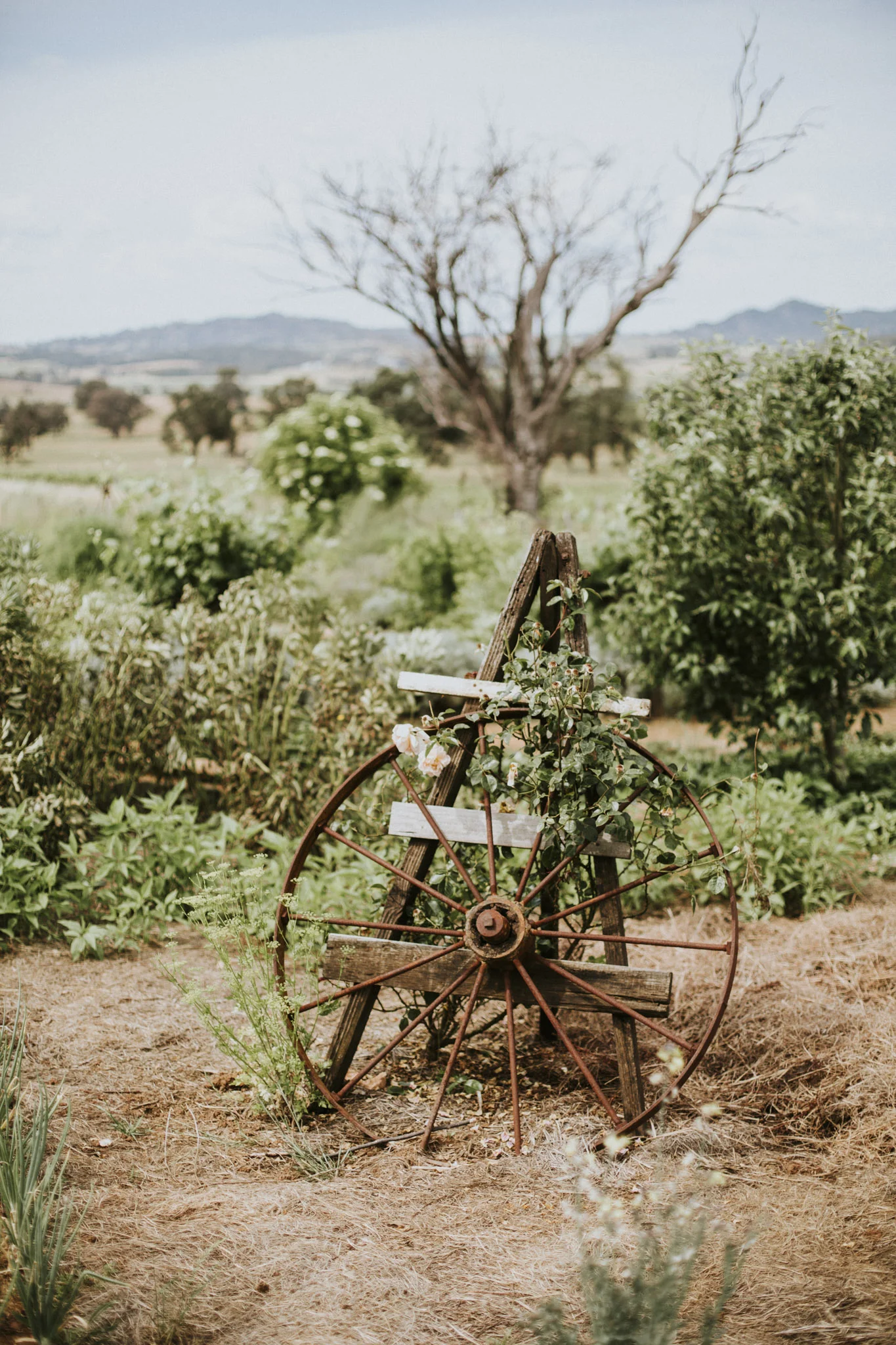 Ben+Iona-110.jpg