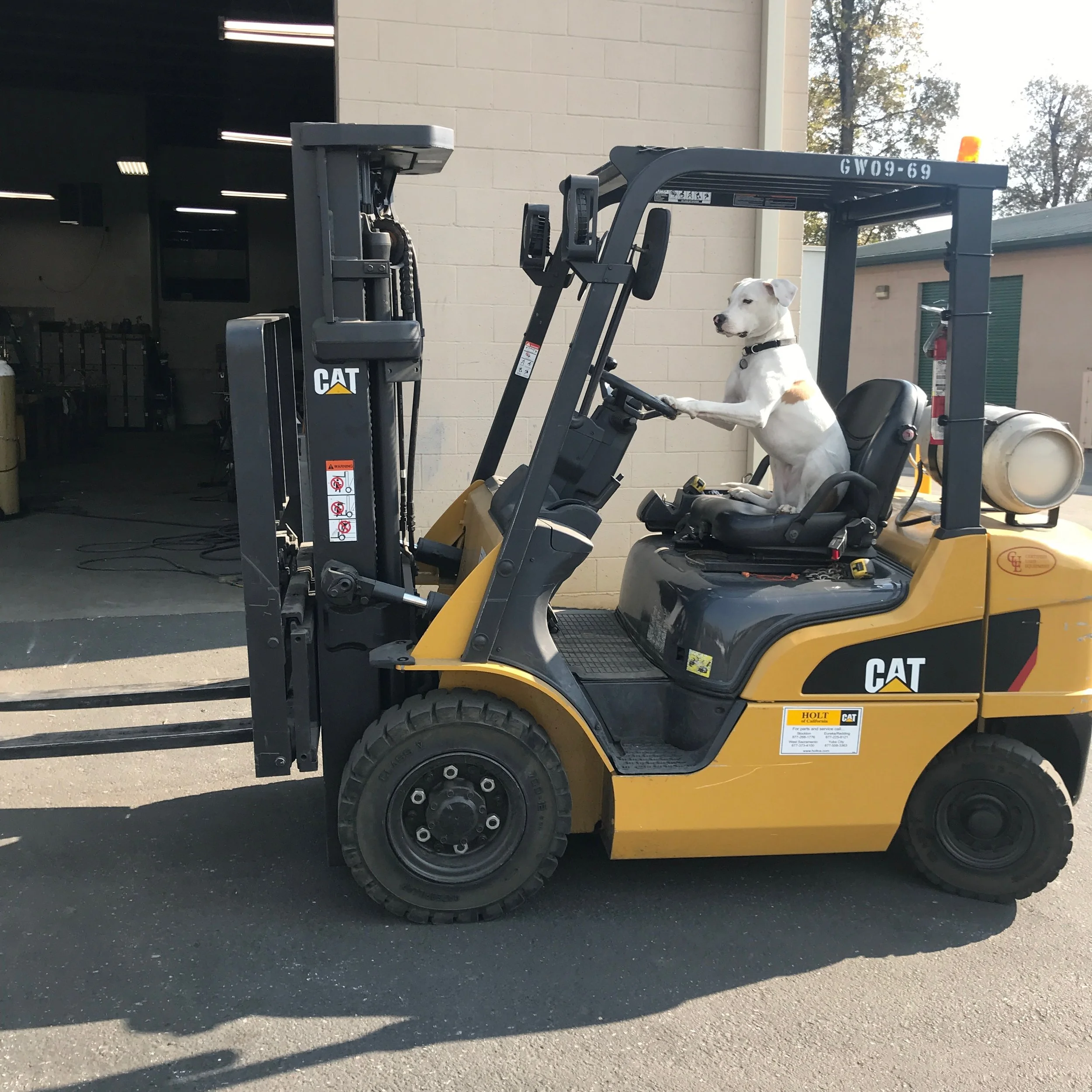 AA Forklift.jpg