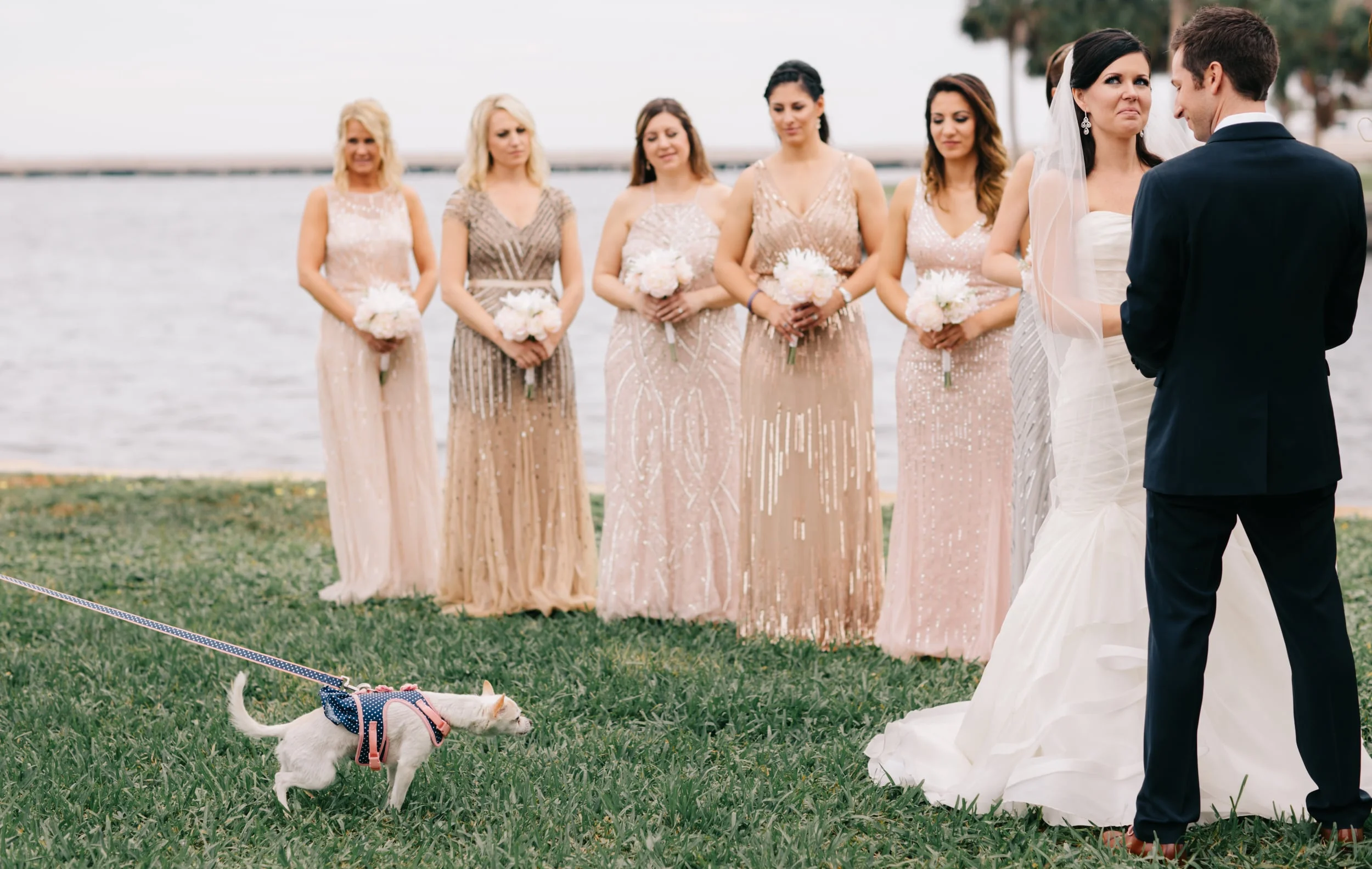 Rogers Say I Do-1236.jpg