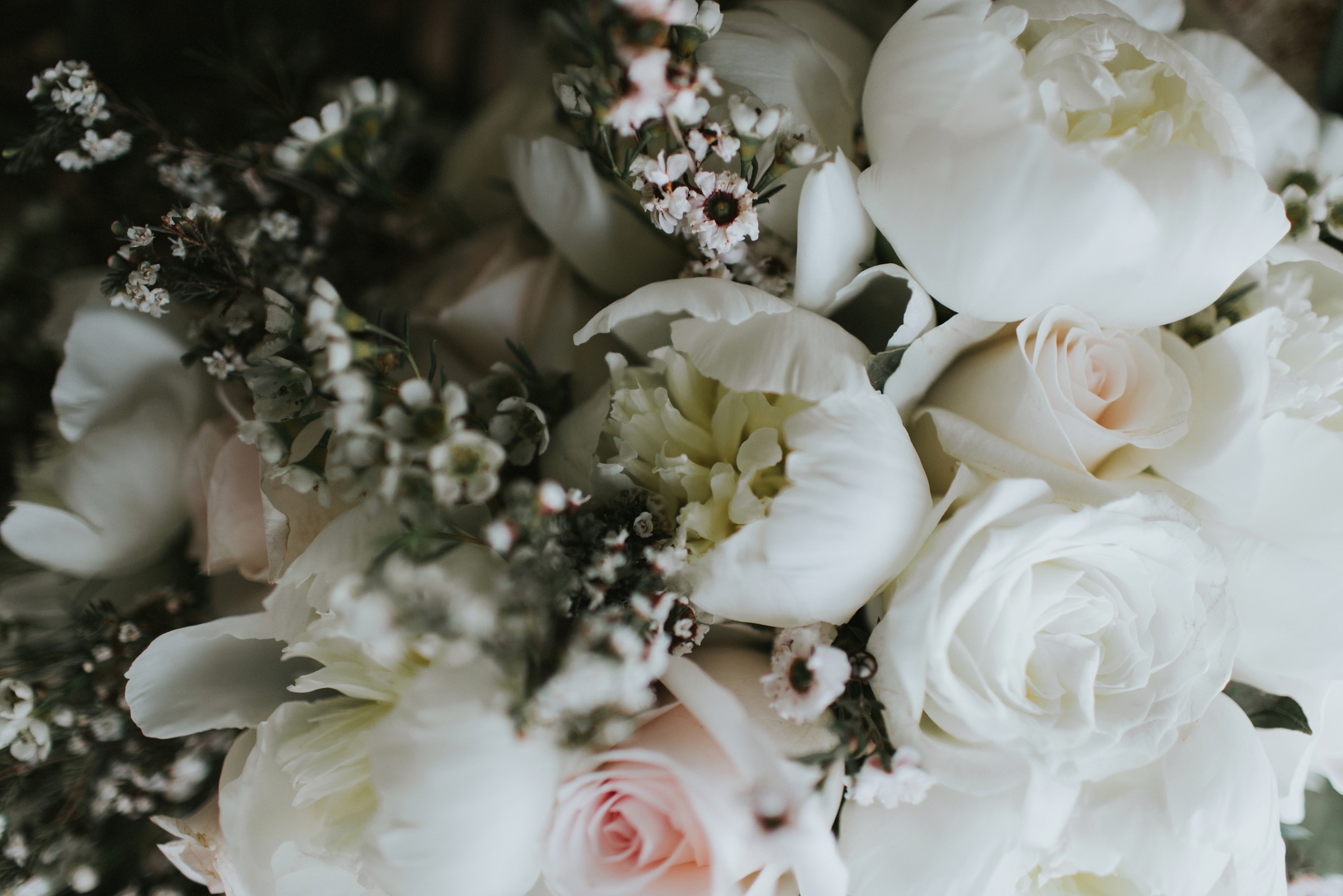 Wedding Pictures | vanessaboy.com-144.com.jpg