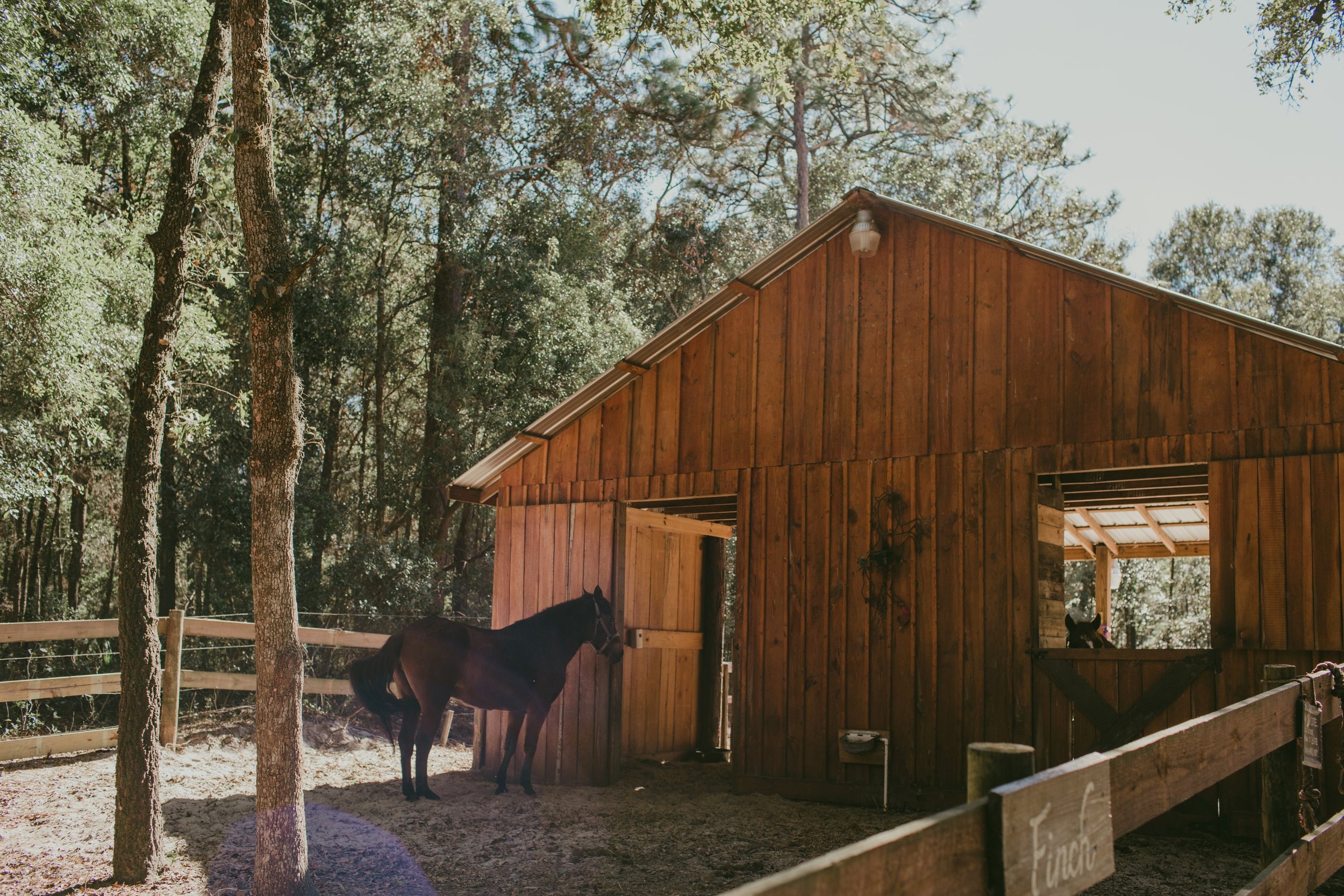 Wedding Day | Bridle Oaks Barn | Vanessa Boy Photography | vanessaboy.com-1.com final gallery.jpg