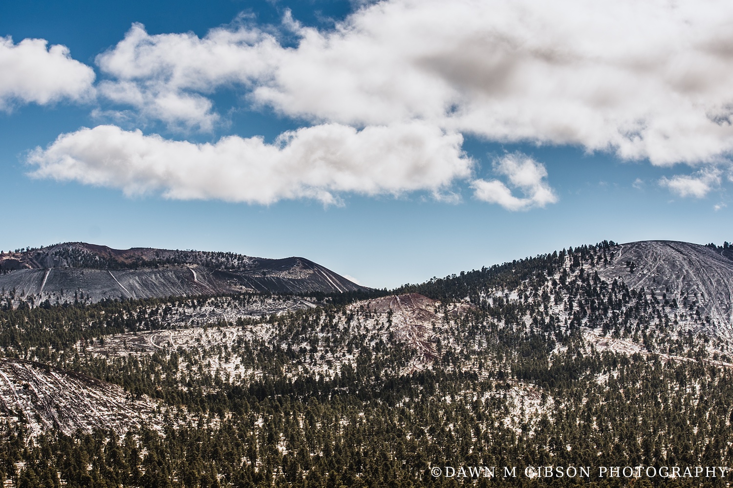 Arizona + Utah Winter 2016