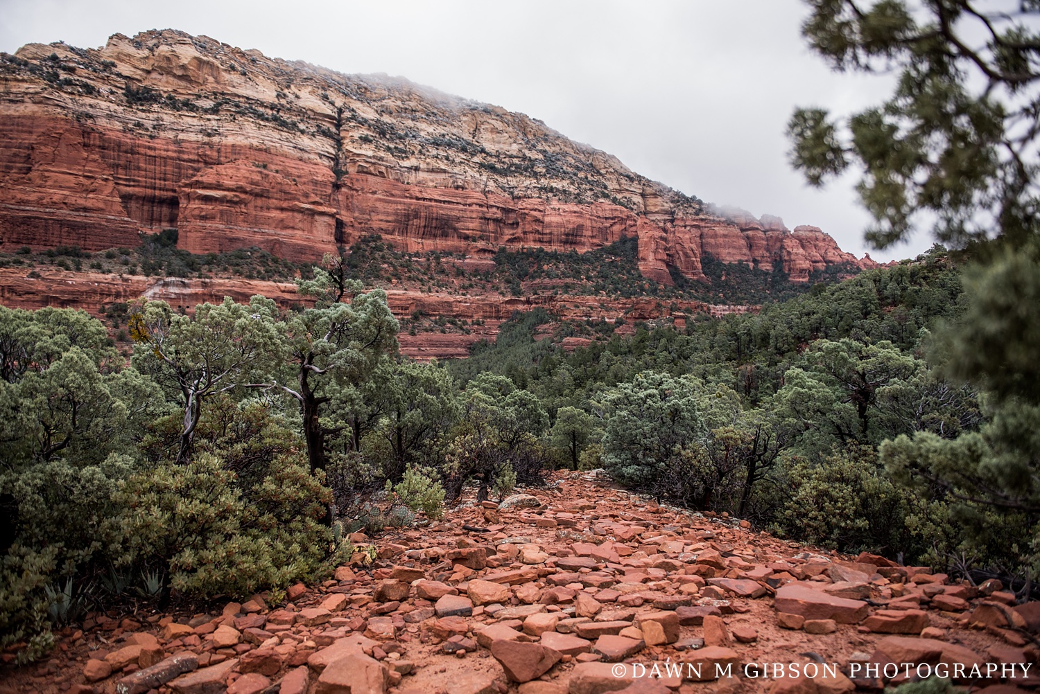 Arizona + Utah Winter 2016