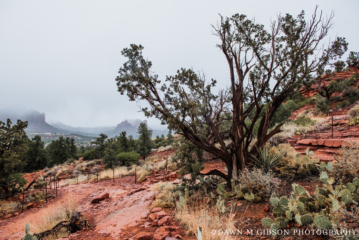 Arizona + Utah Winter 2016