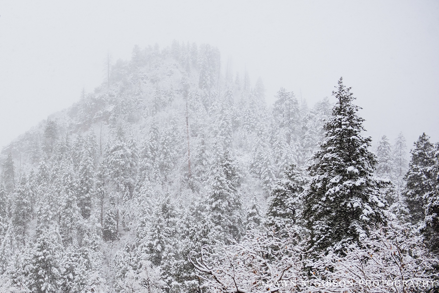 Arizona + Utah Winter 2016