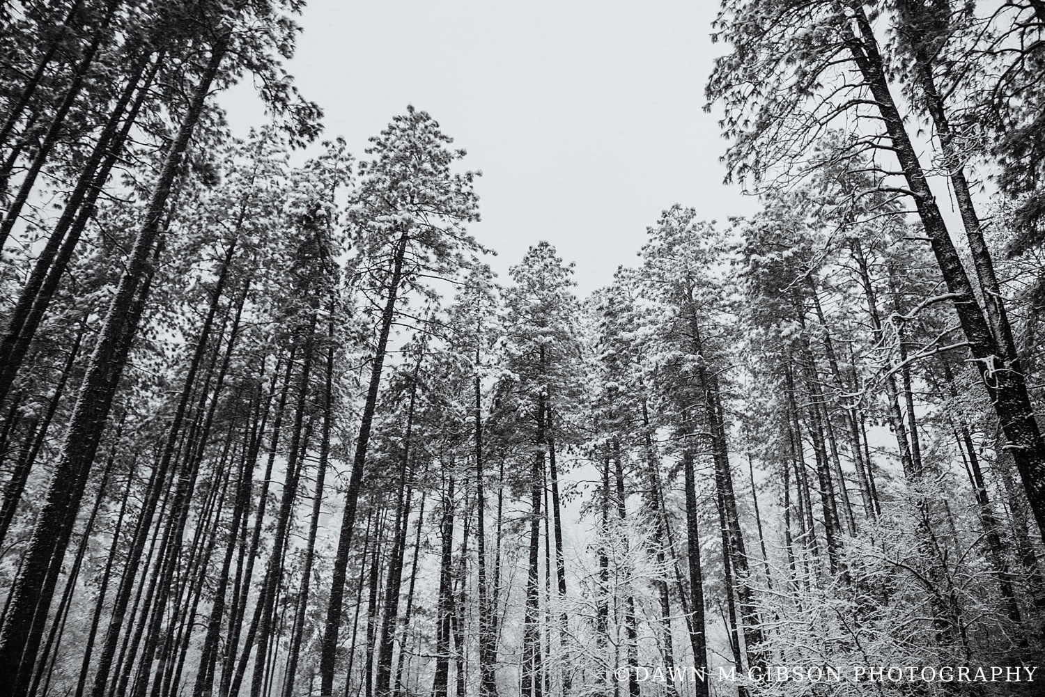 Arizona + Utah Winter 2016