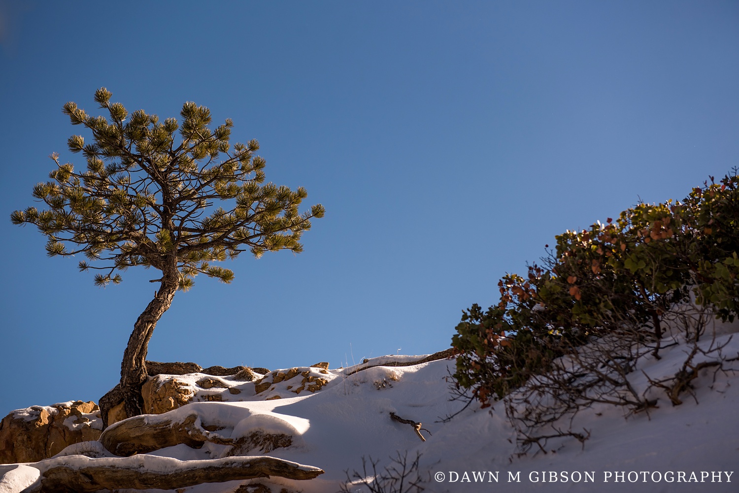 Arizona + Utah Winter 2016