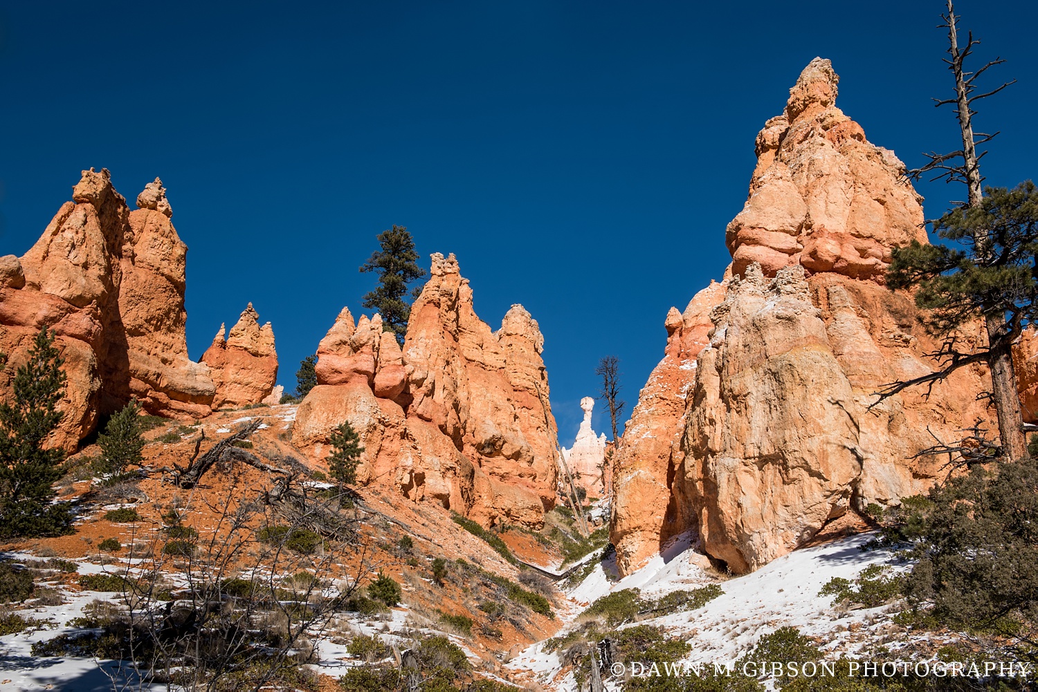 Arizona + Utah Winter 2016