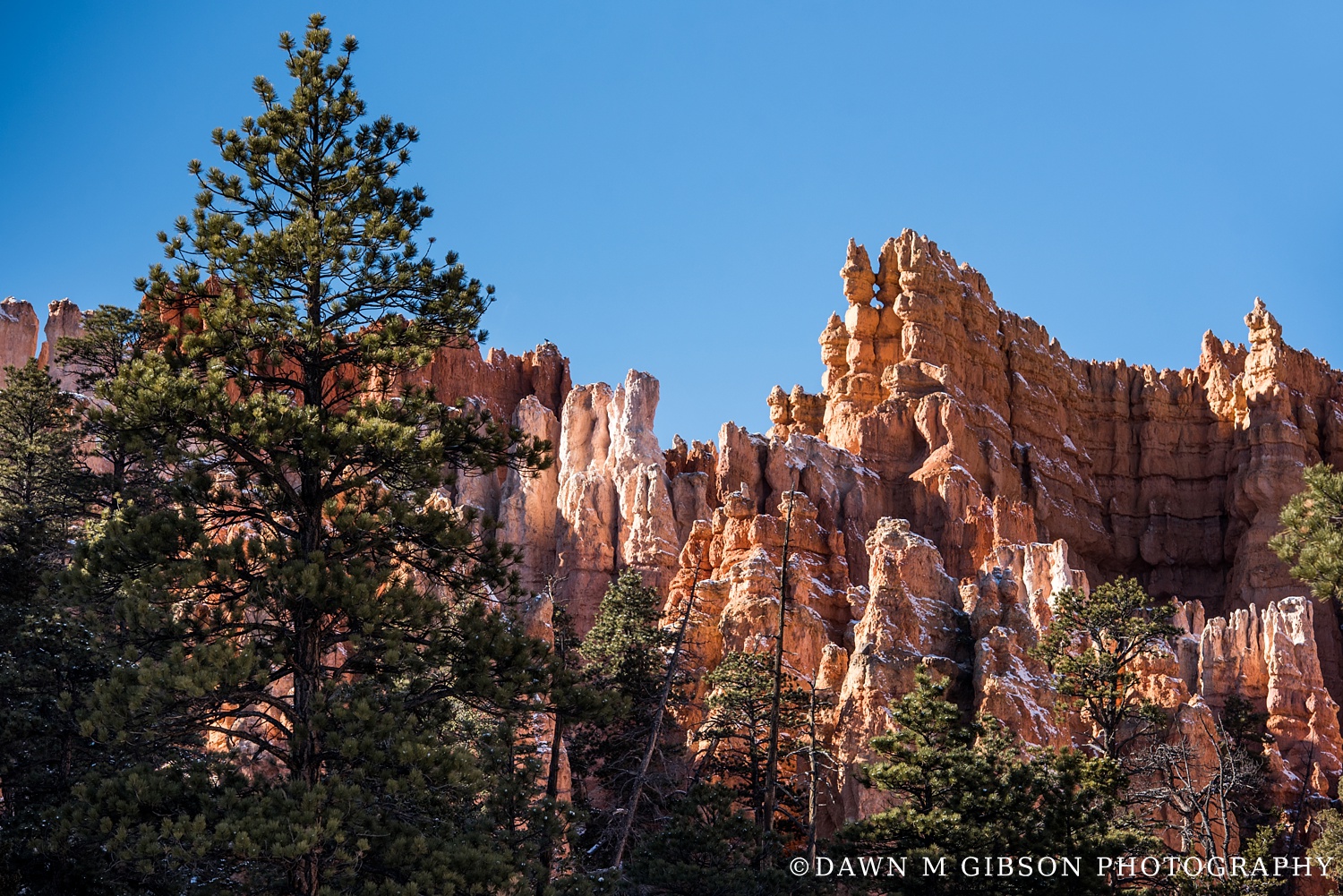 Arizona + Utah Winter 2016