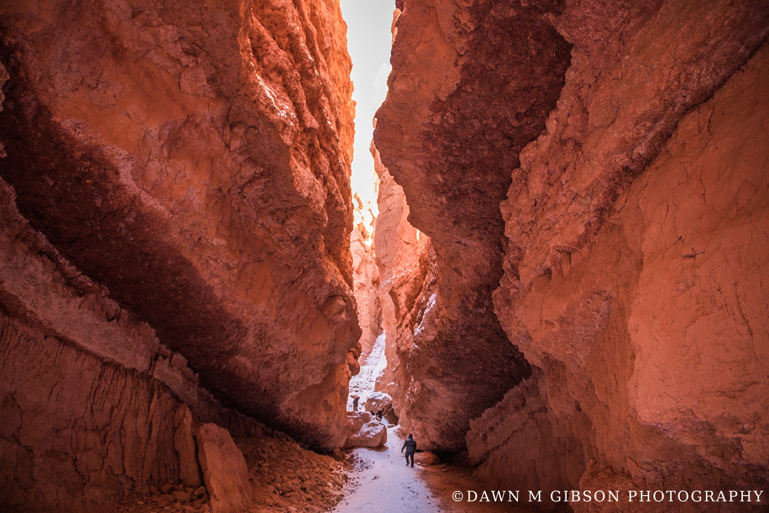 Arizona + Utah Winter 2016