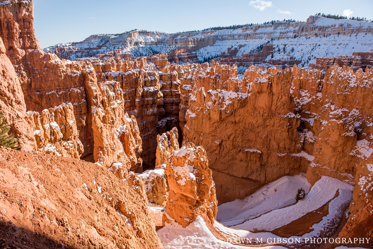 Arizona + Utah Winter 2016