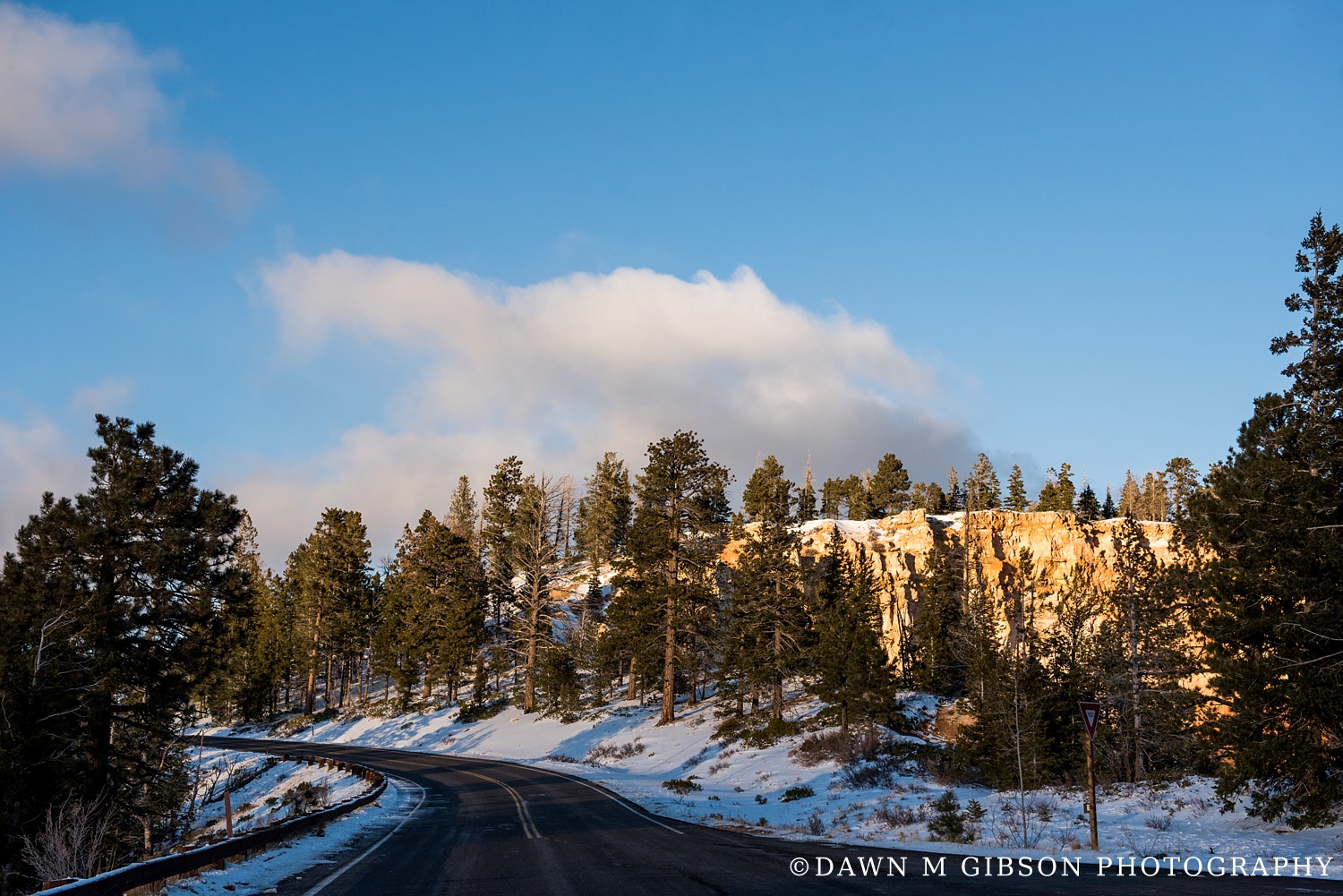 Arizona + Utah Winter 2016