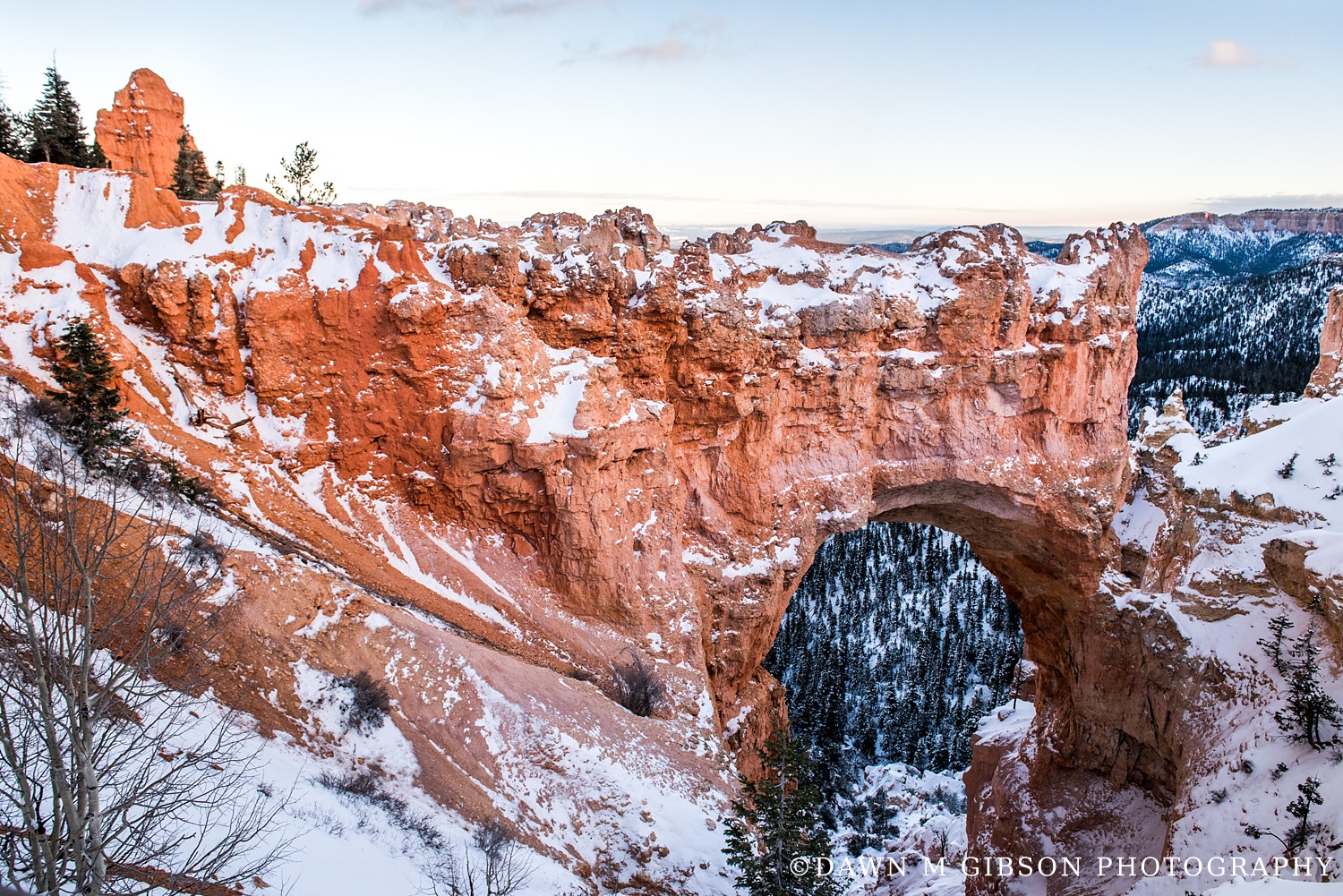 Arizona + Utah Winter 2016