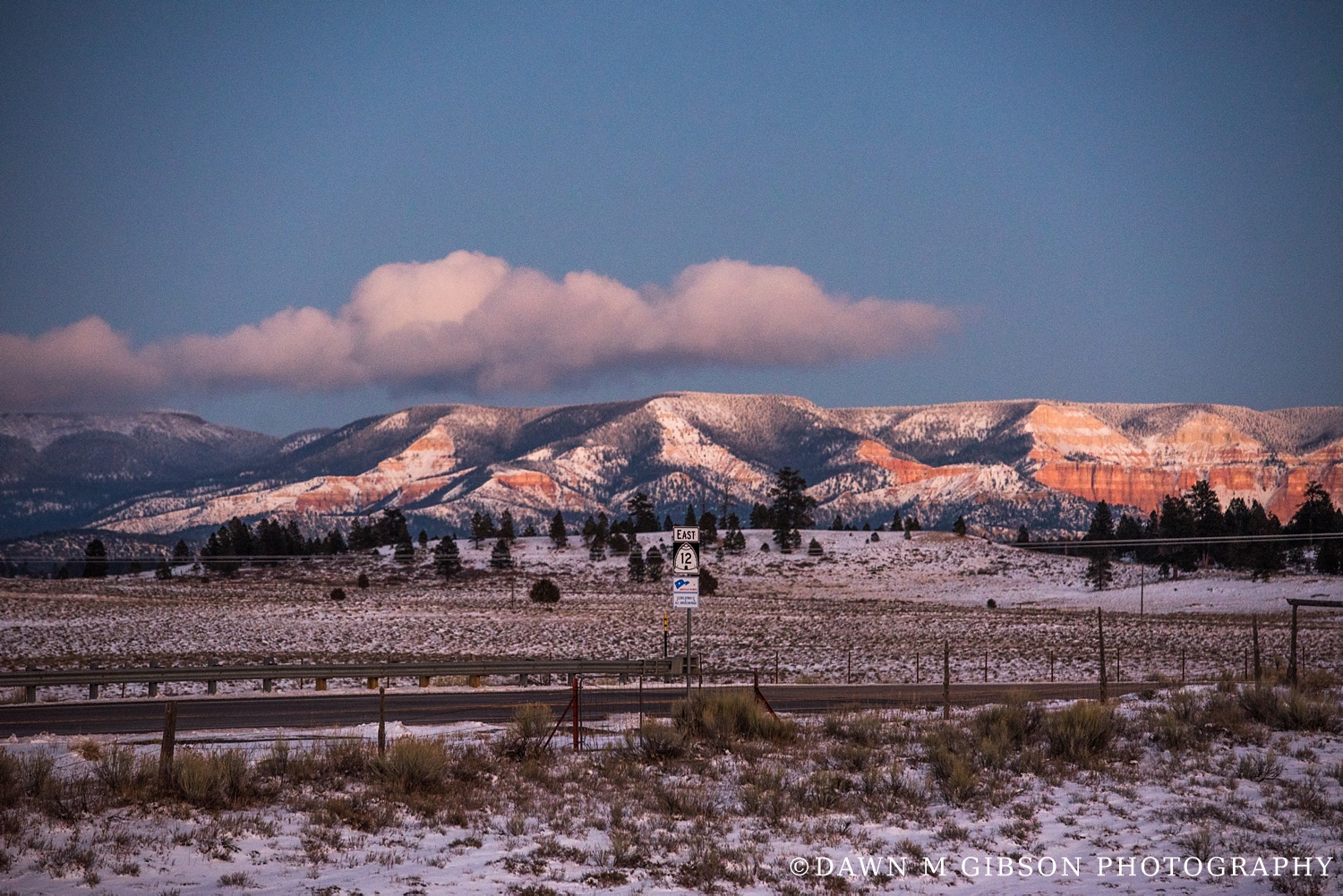 Arizona + Utah Winter 2016