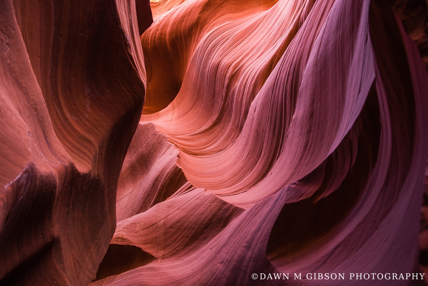 Arizona + Utah Winter 2016