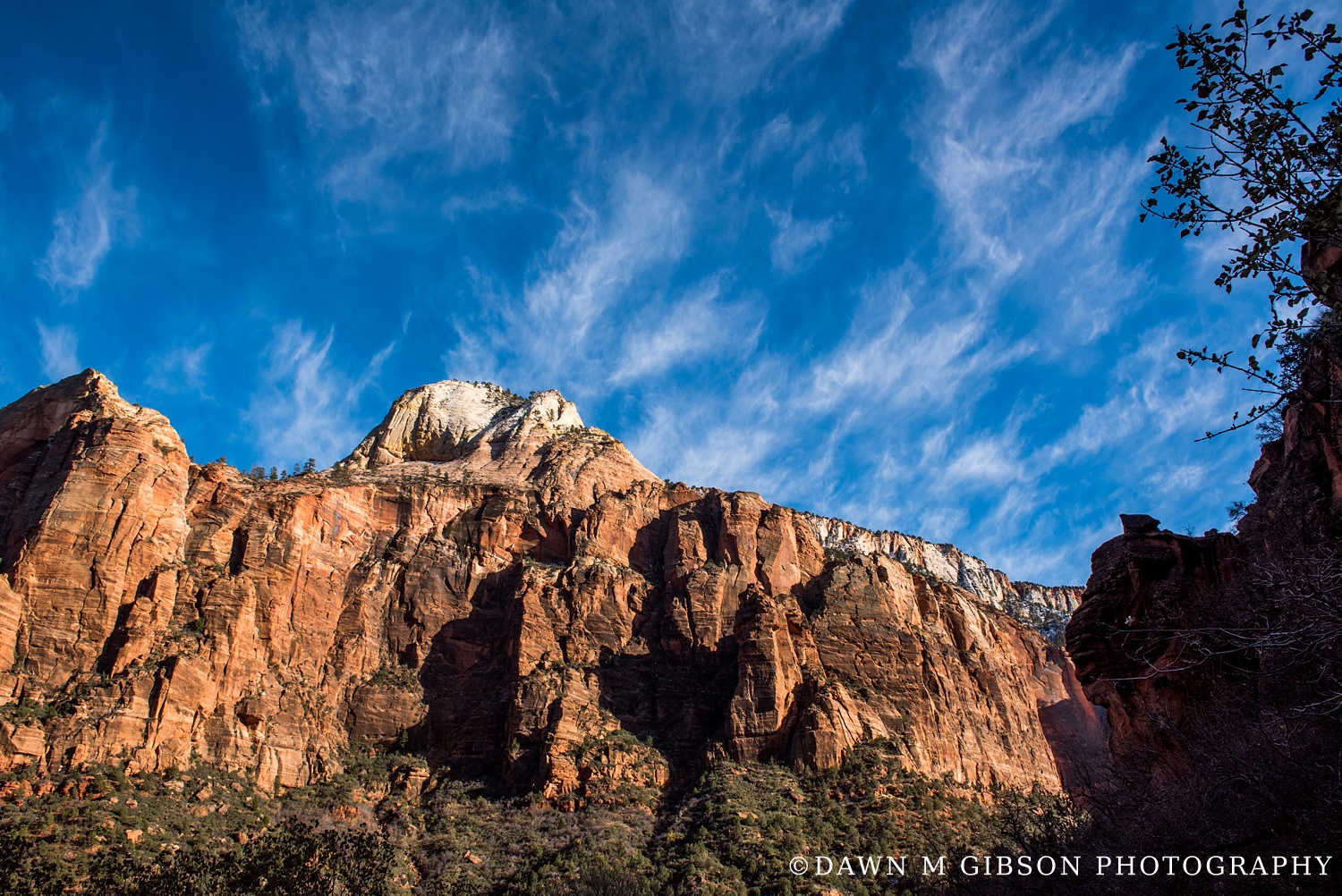 Arizona + Utah Winter 2016