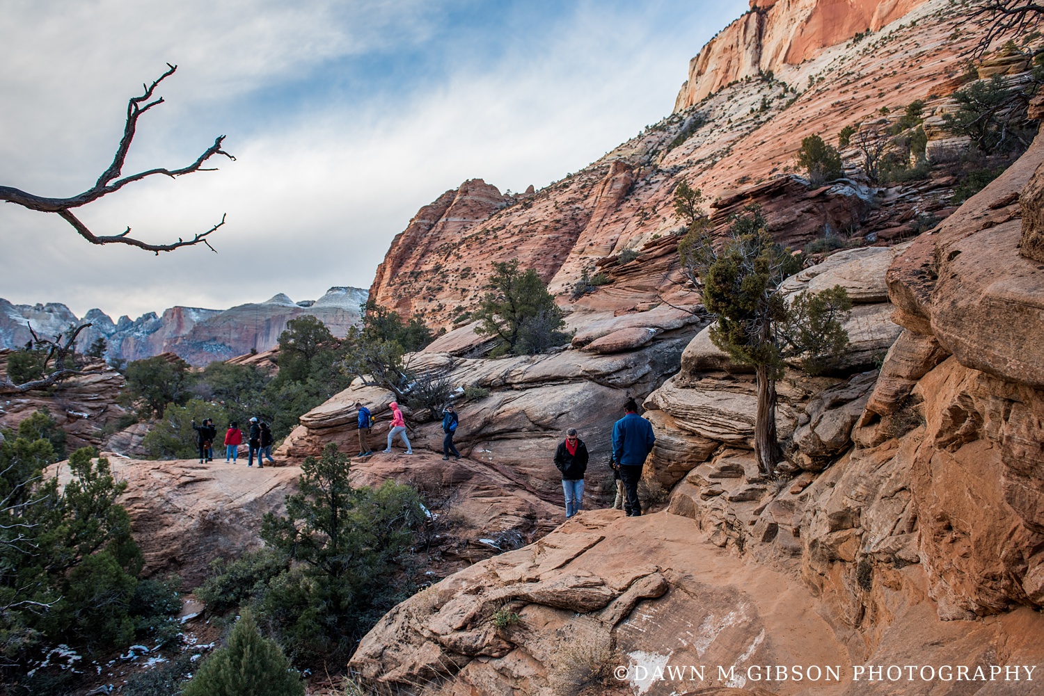 Arizona + Utah Winter 2016