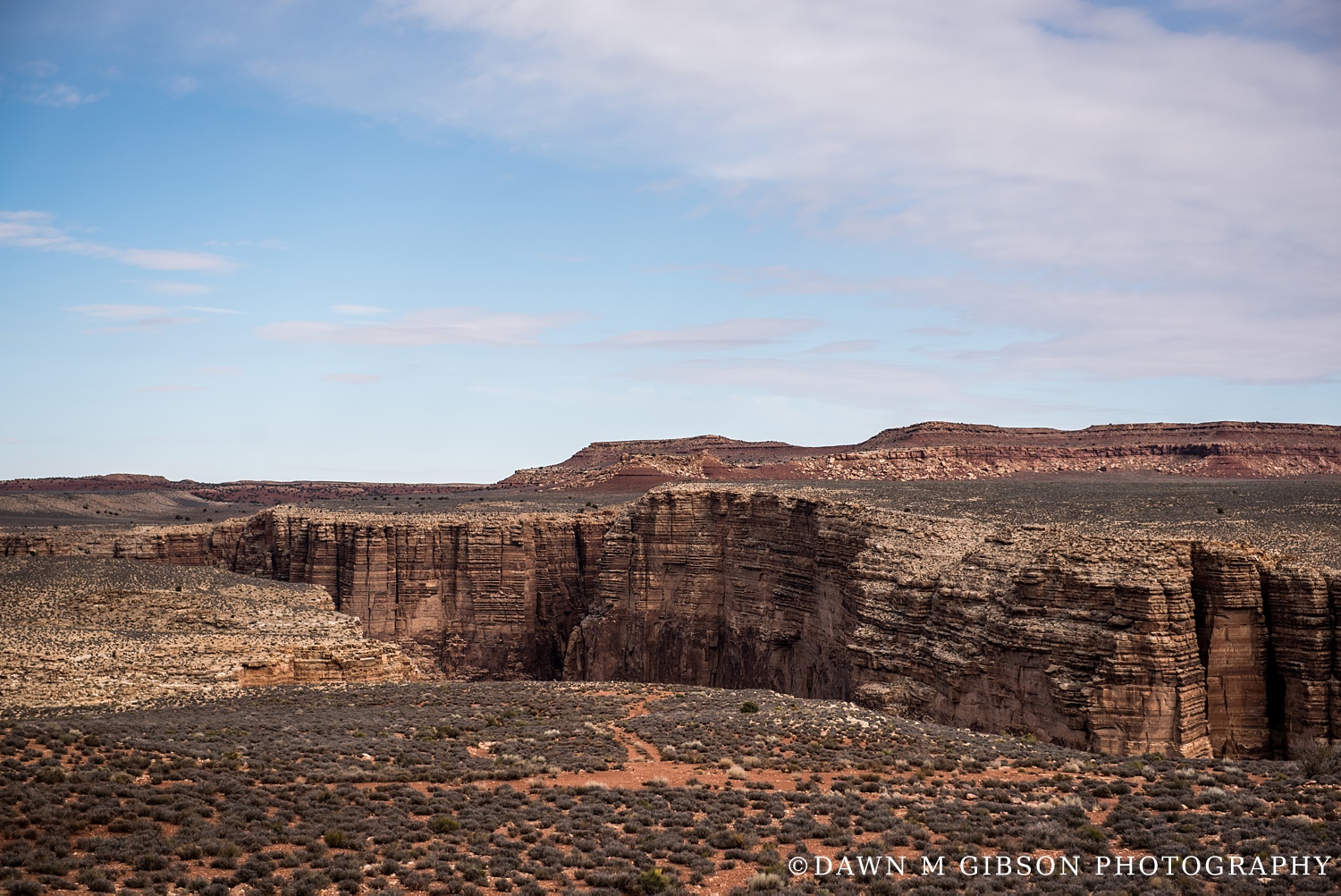 Arizona + Utah Winter 2016