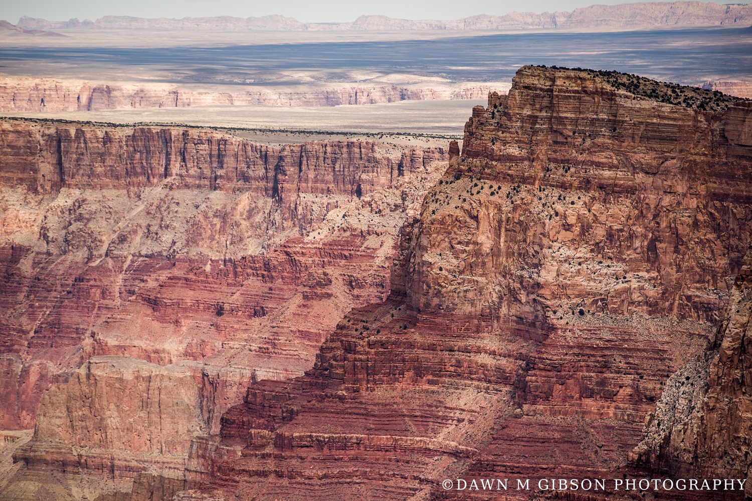 Arizona + Utah Winter 2016