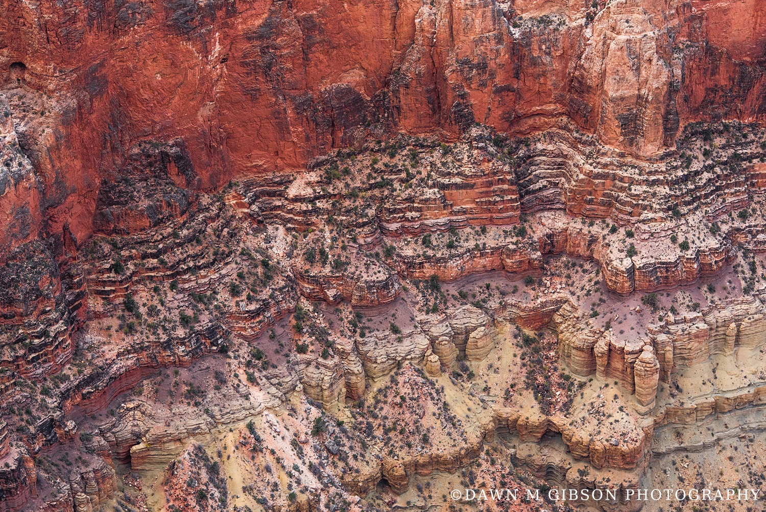 Arizona + Utah Winter 2016