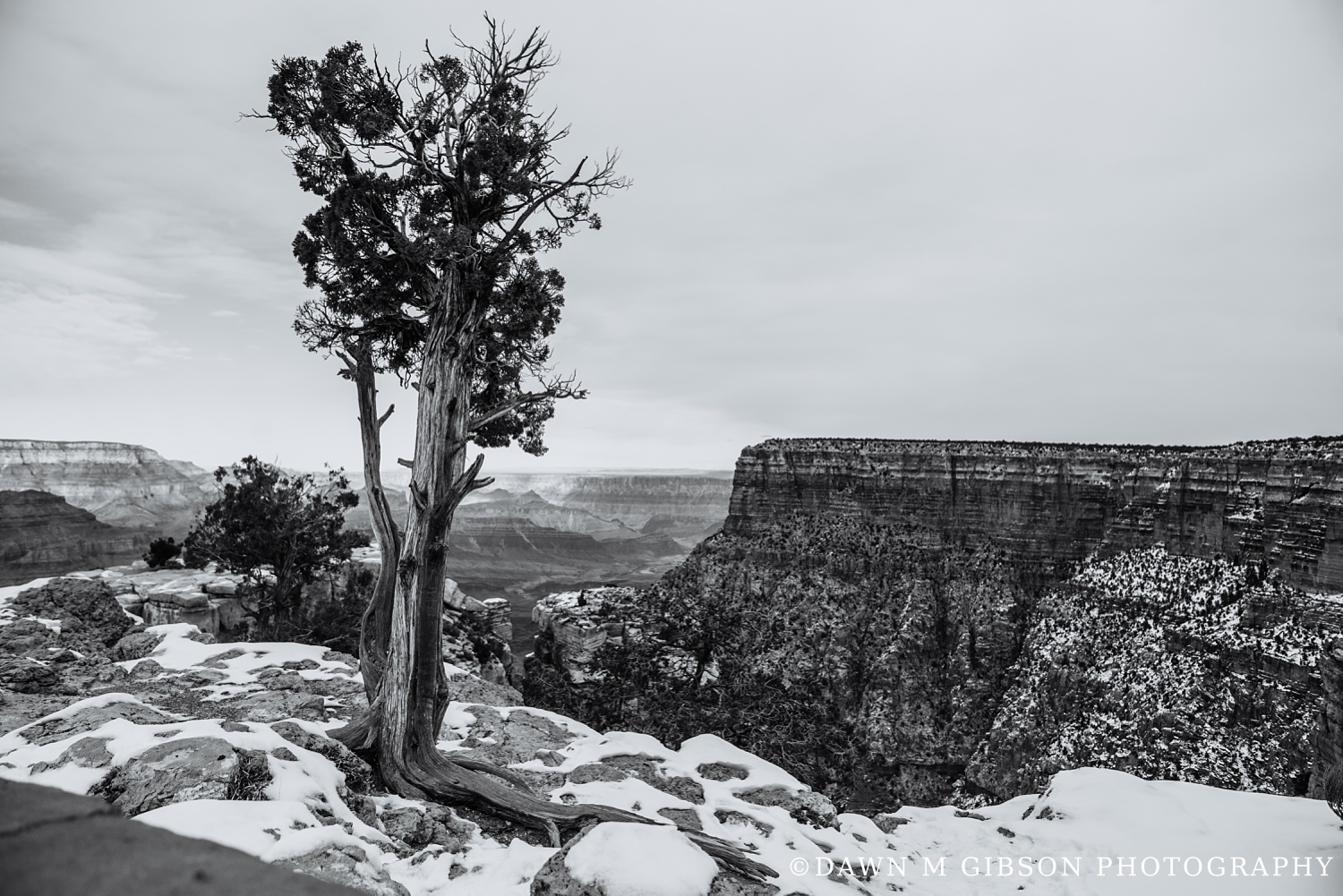 Arizona + Utah Winter 2016