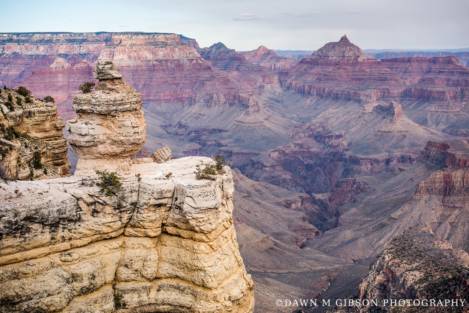 Arizona + Utah Winter 2016