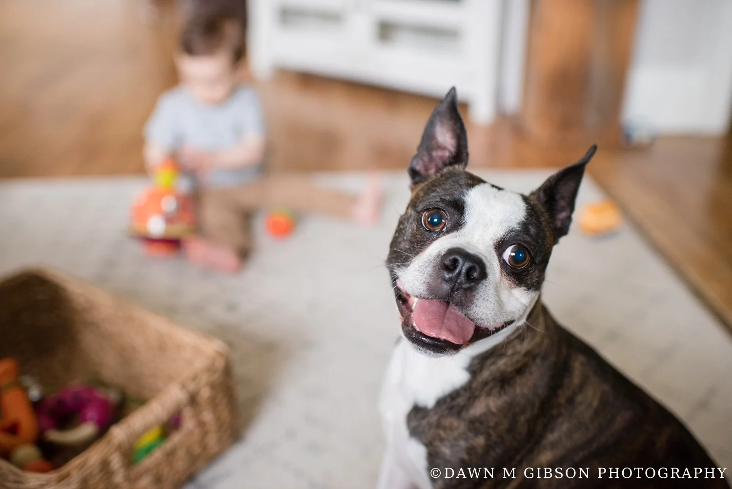 Bond Real Life Family Session