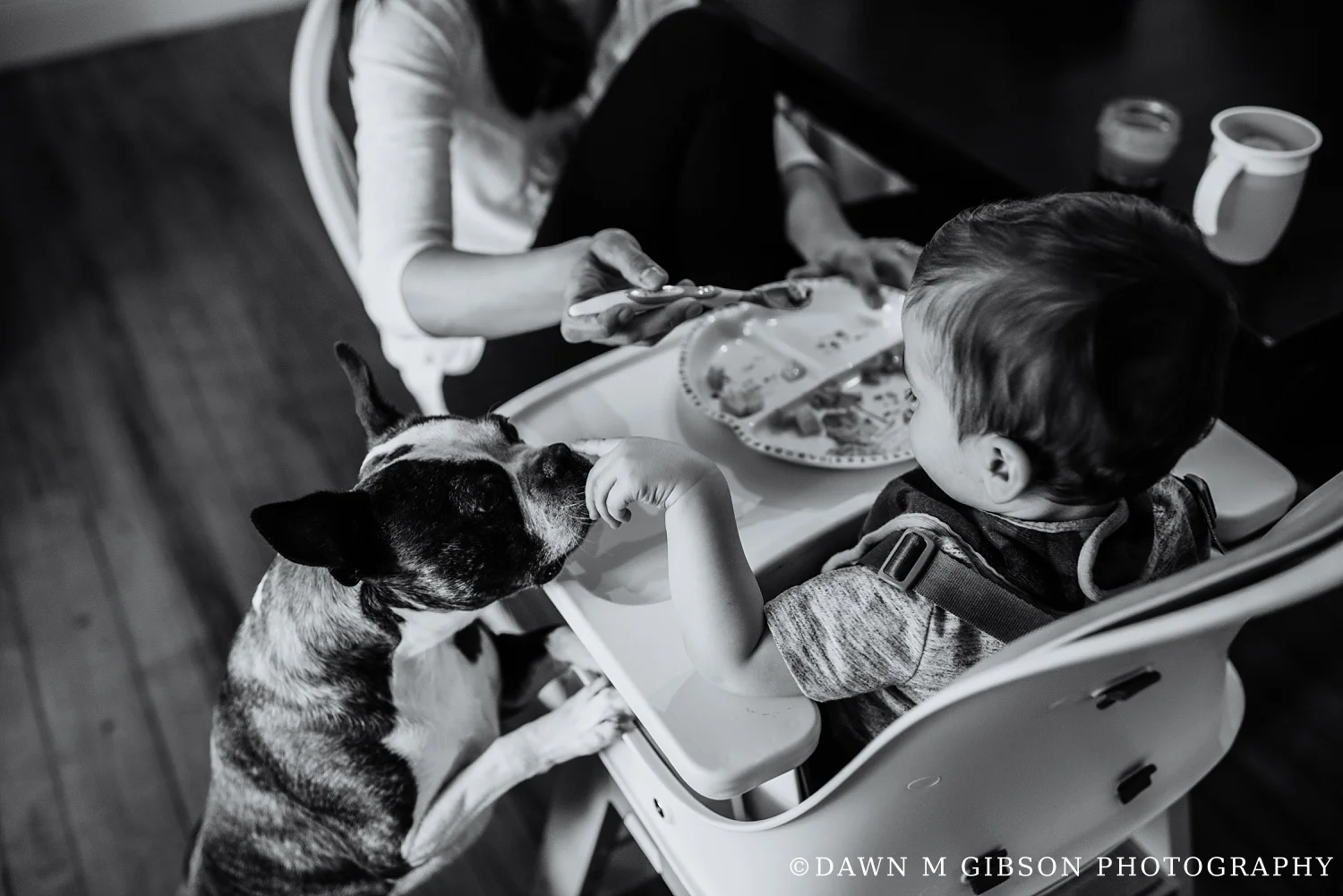 Bond Real Life Family Session