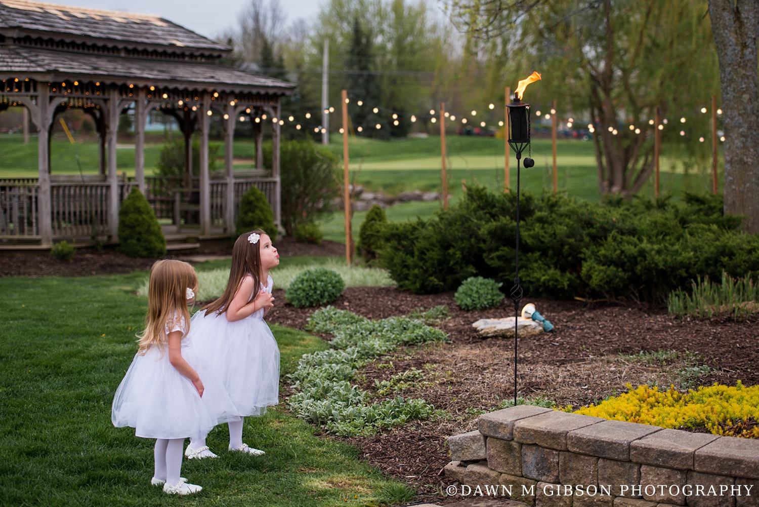 wnyweddingphotographer_dawnmgibson_stevemike_052_WEB.jpg