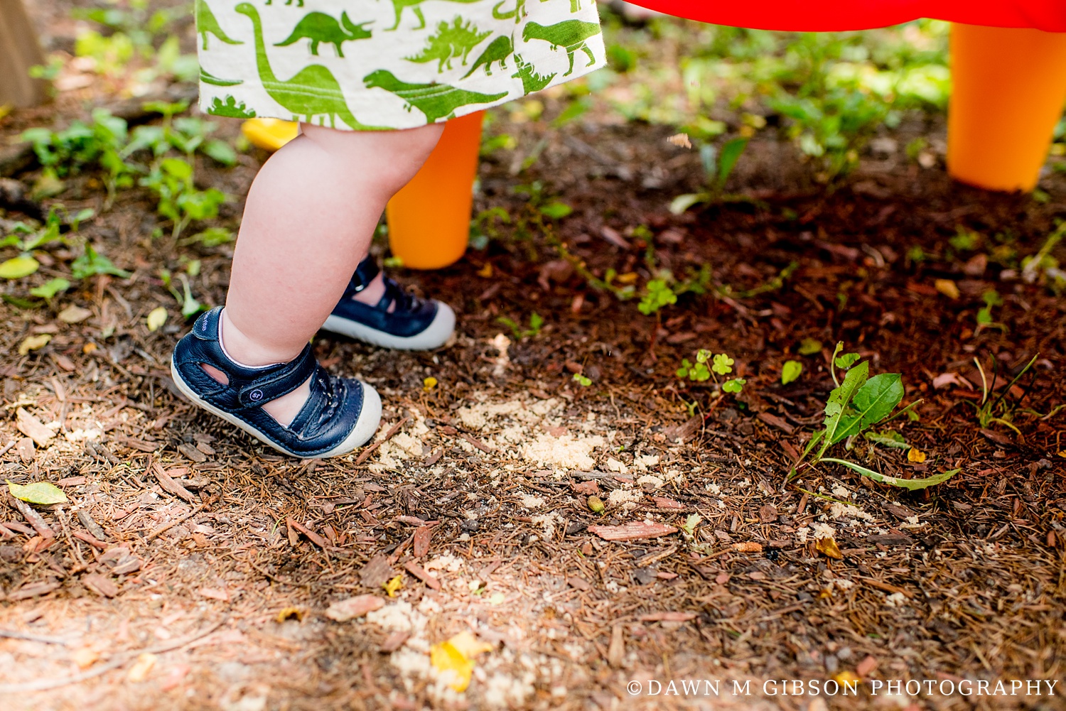 Ophelia Turns One | Hettich Real Life Family Session by Dawn M Gibson Photography