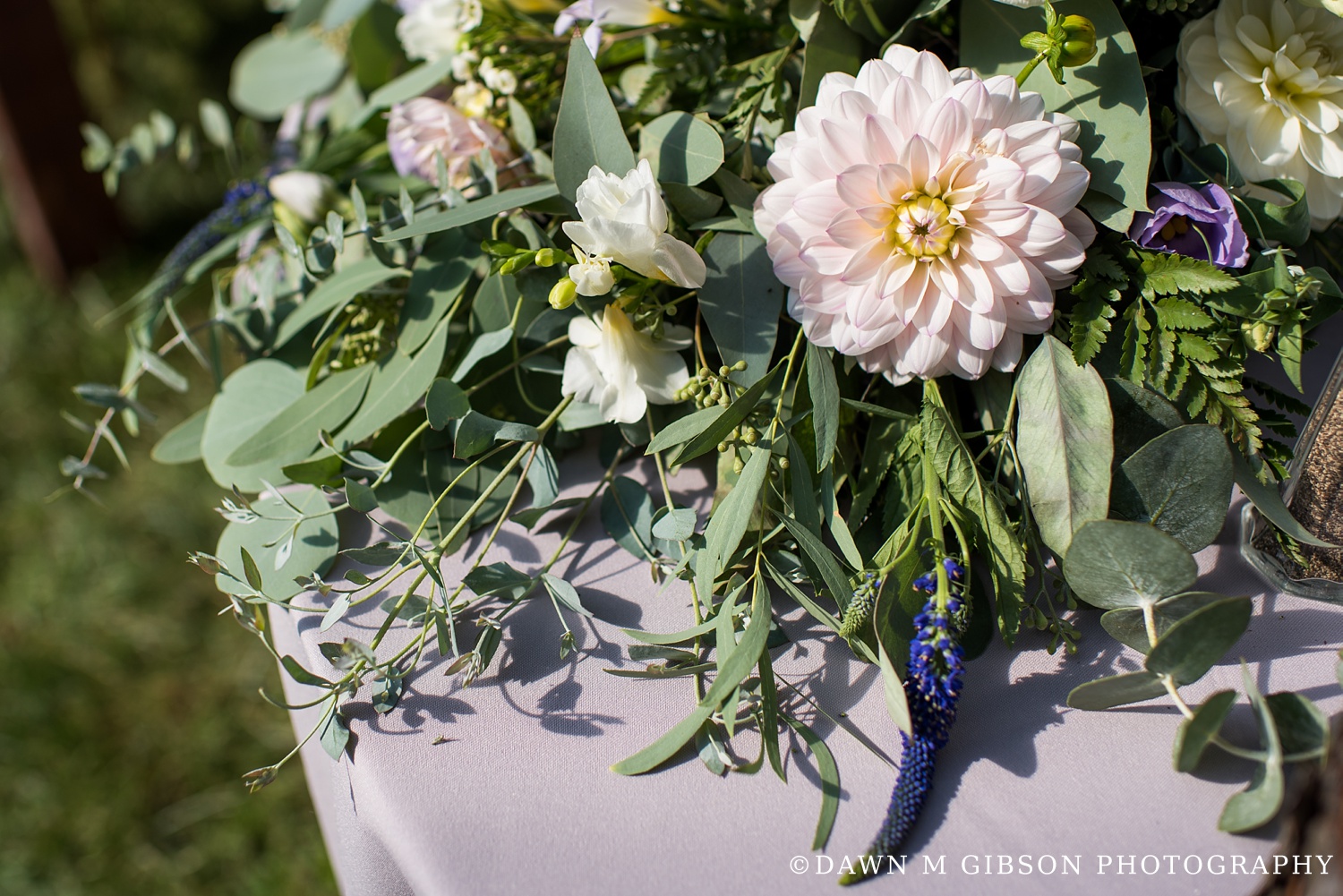 Photos by Dawn M Gibson Photography