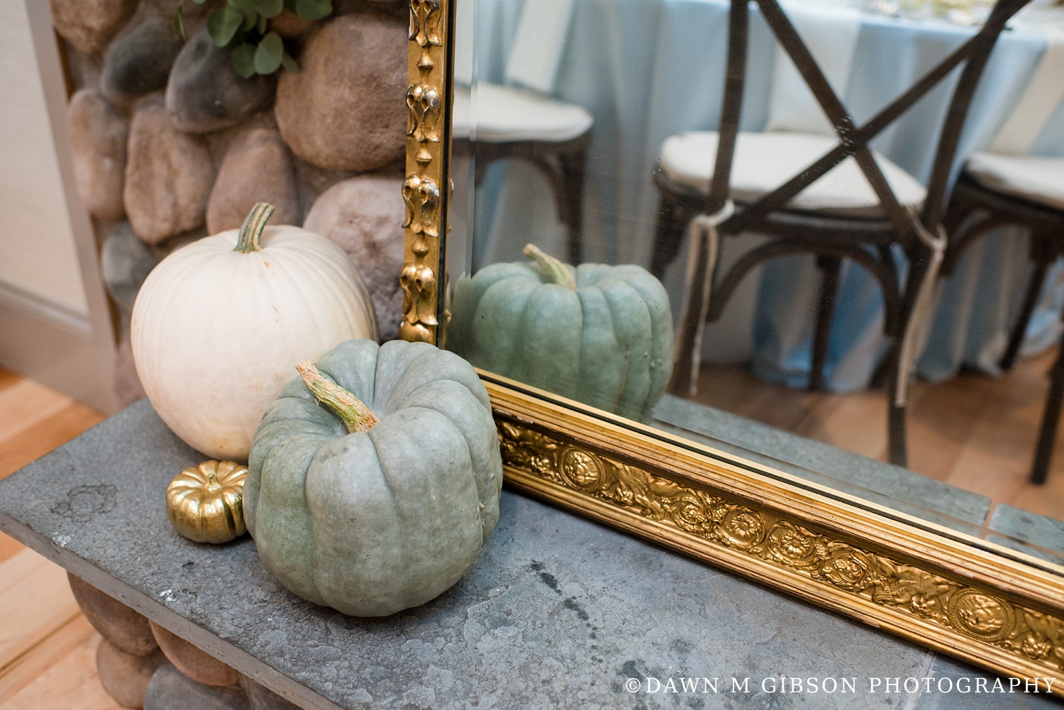 Photo (C)Dawn M Gibson Photography