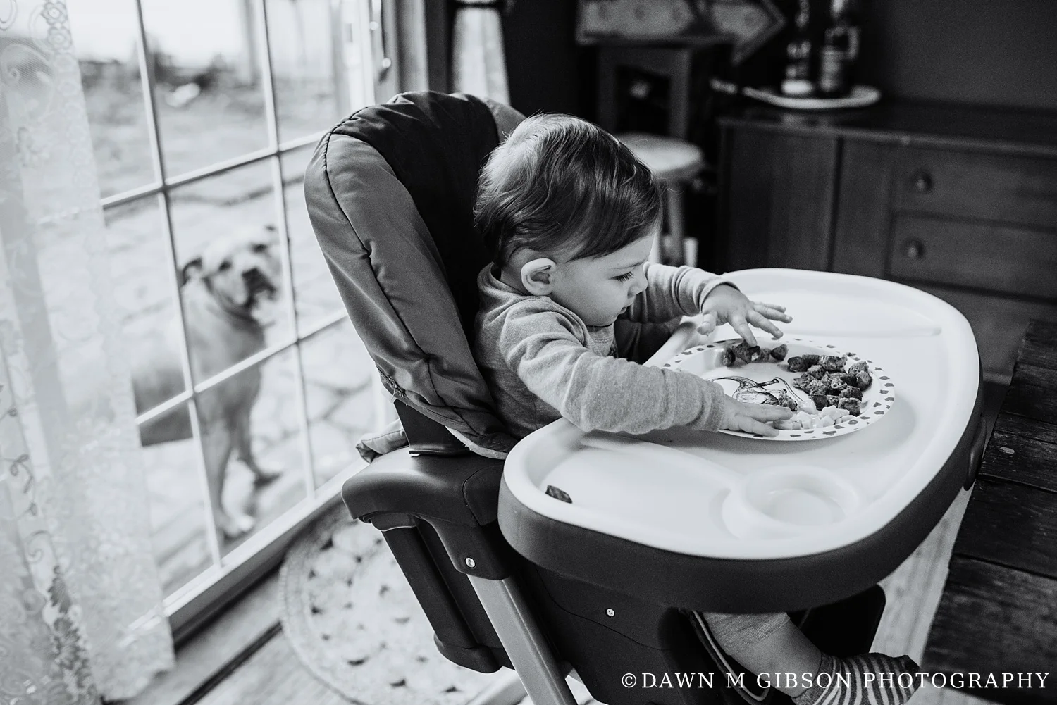 Hornbuckle Real Life Family Session