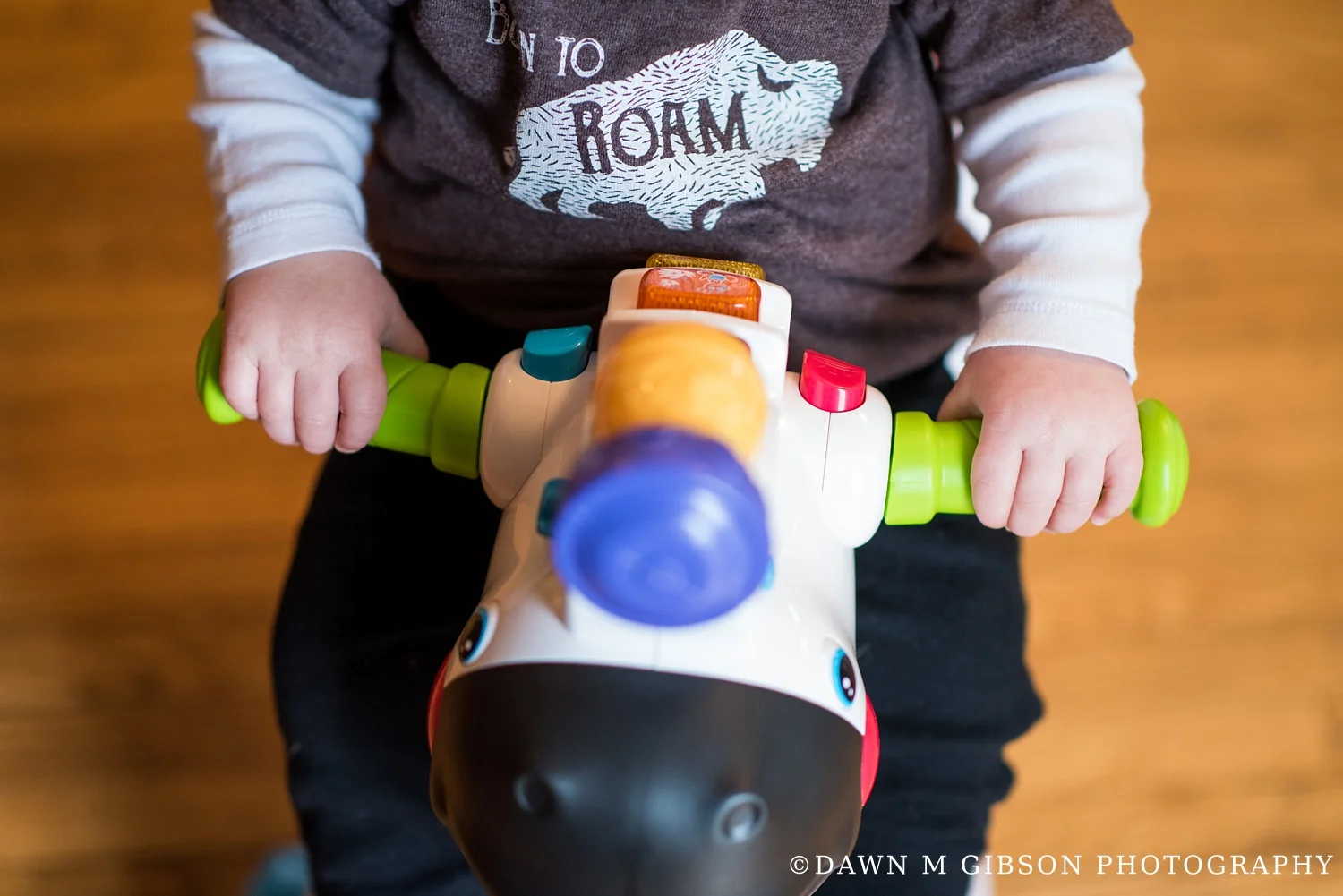 Hornbuckle Real Life Family Session