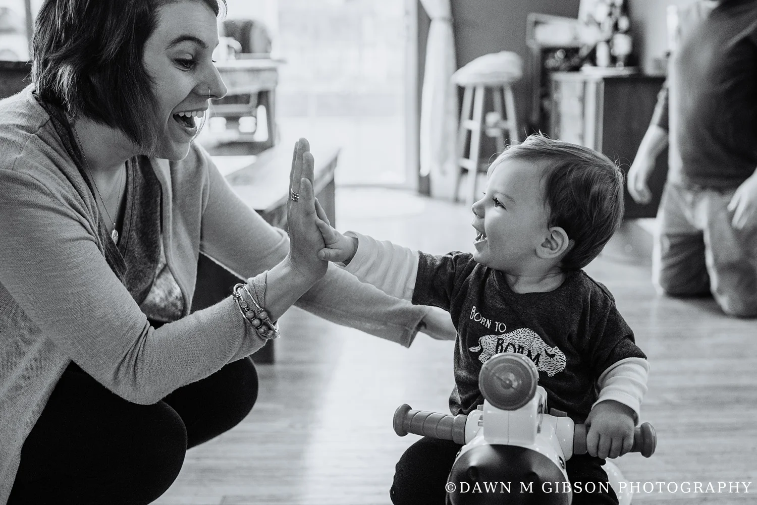 Hornbuckle Real Life Family Session